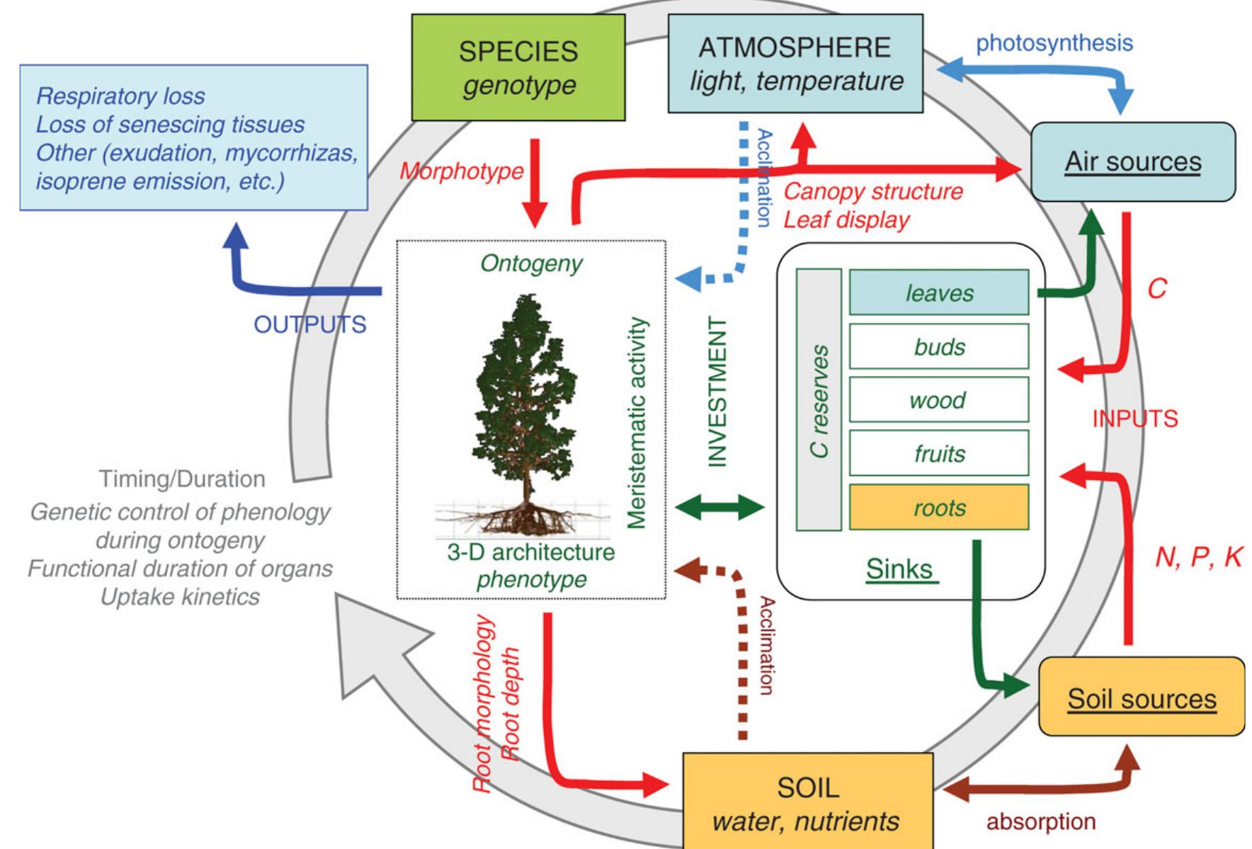 Complex Plant Model (PDF) Plant growth modelling and applications: the increasing ...