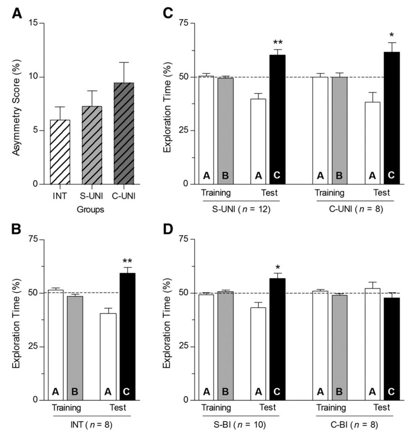 (PDF) A novel preclinical rodent model of collagenase-induced germinal ...