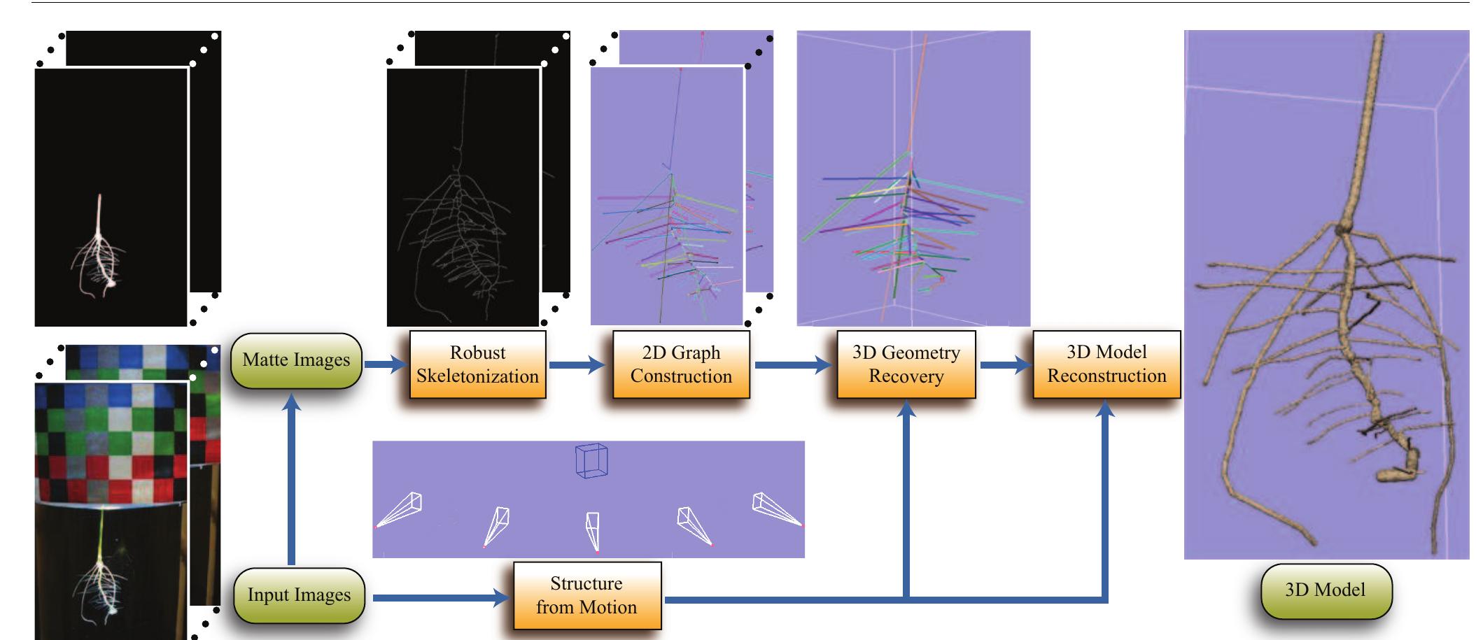 (PDF) Robust image-based 3D Modeling of Root Architecture