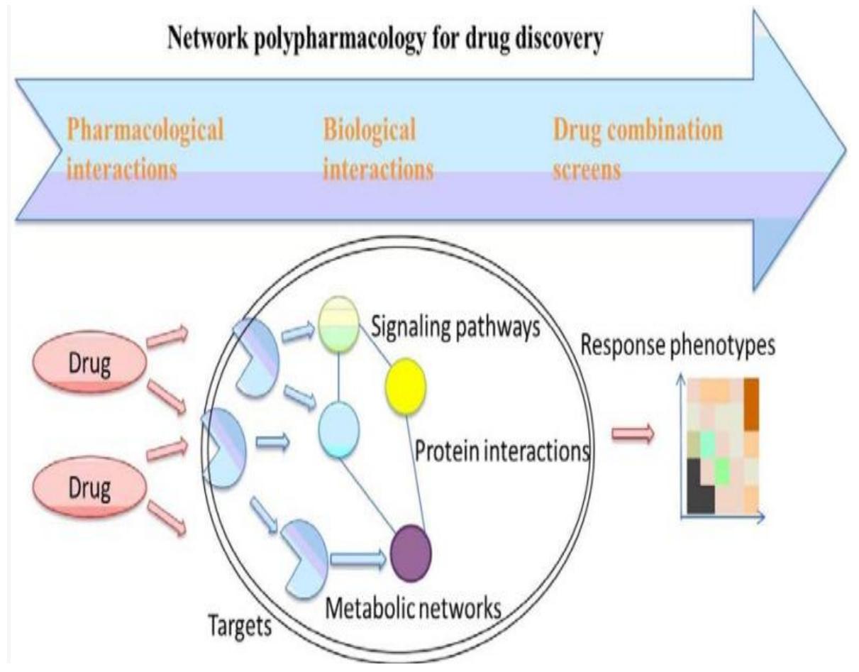Polypharmacy Flowchart A schematic workflow of network-based polypharmacology in