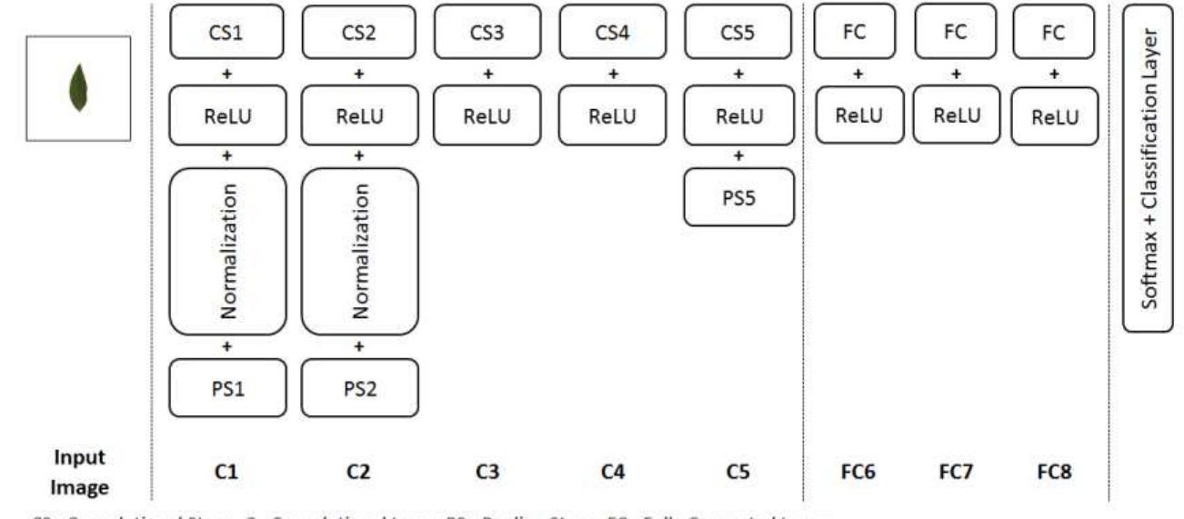 (PDF) Deep Learning for Plant Species Classification using Leaf Vein ...