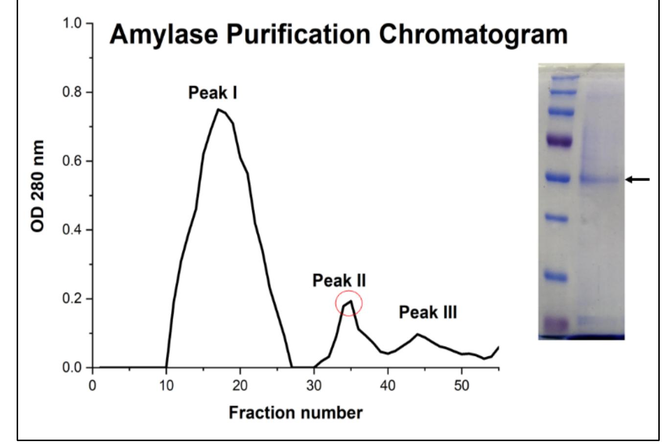 (PDF) Purification and Production Optimization of Alpha Amylases from ...