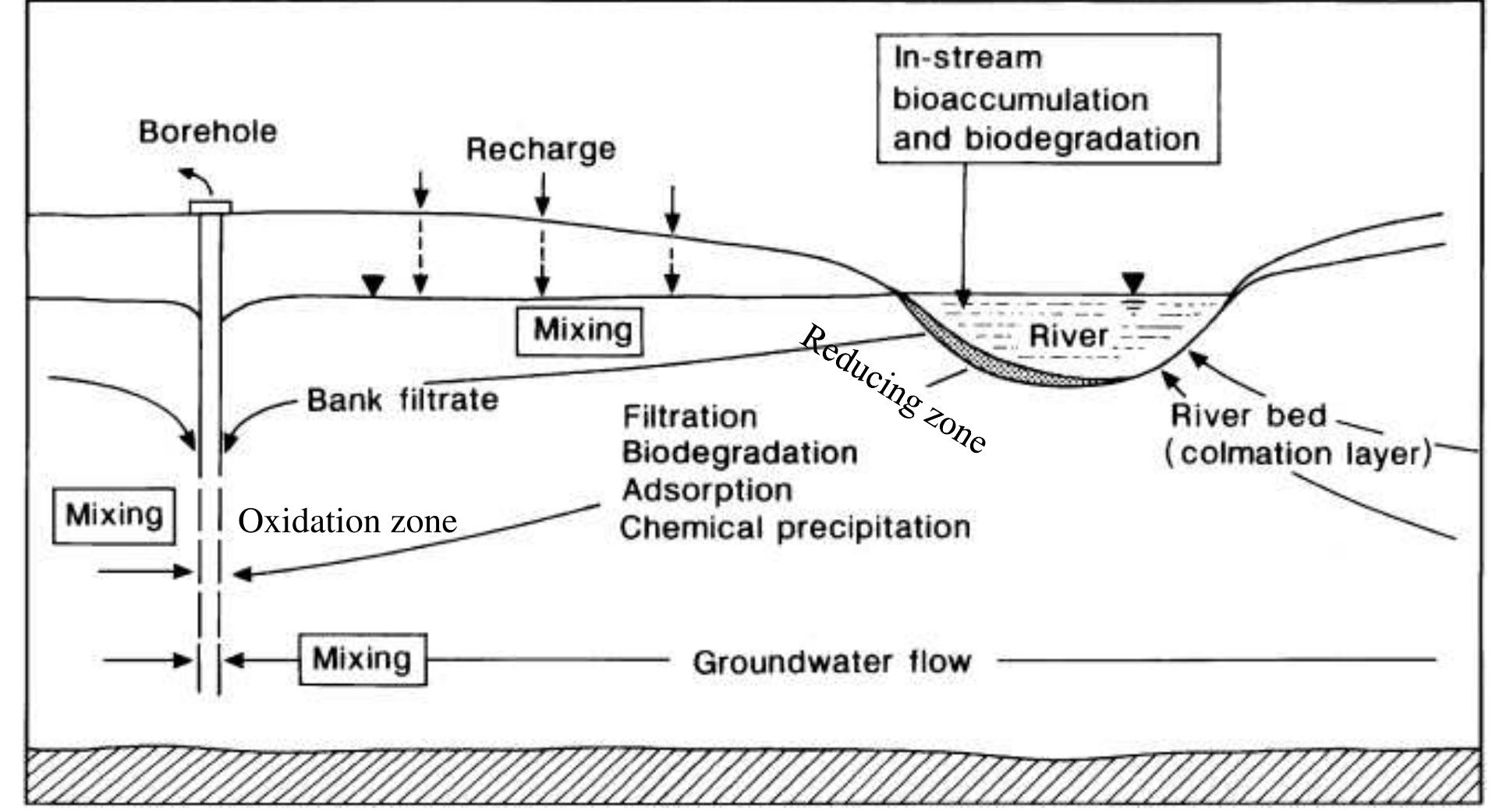 Rbf System (PDF) Heavy Metals Concentration in River and Pumping Well Water for ...