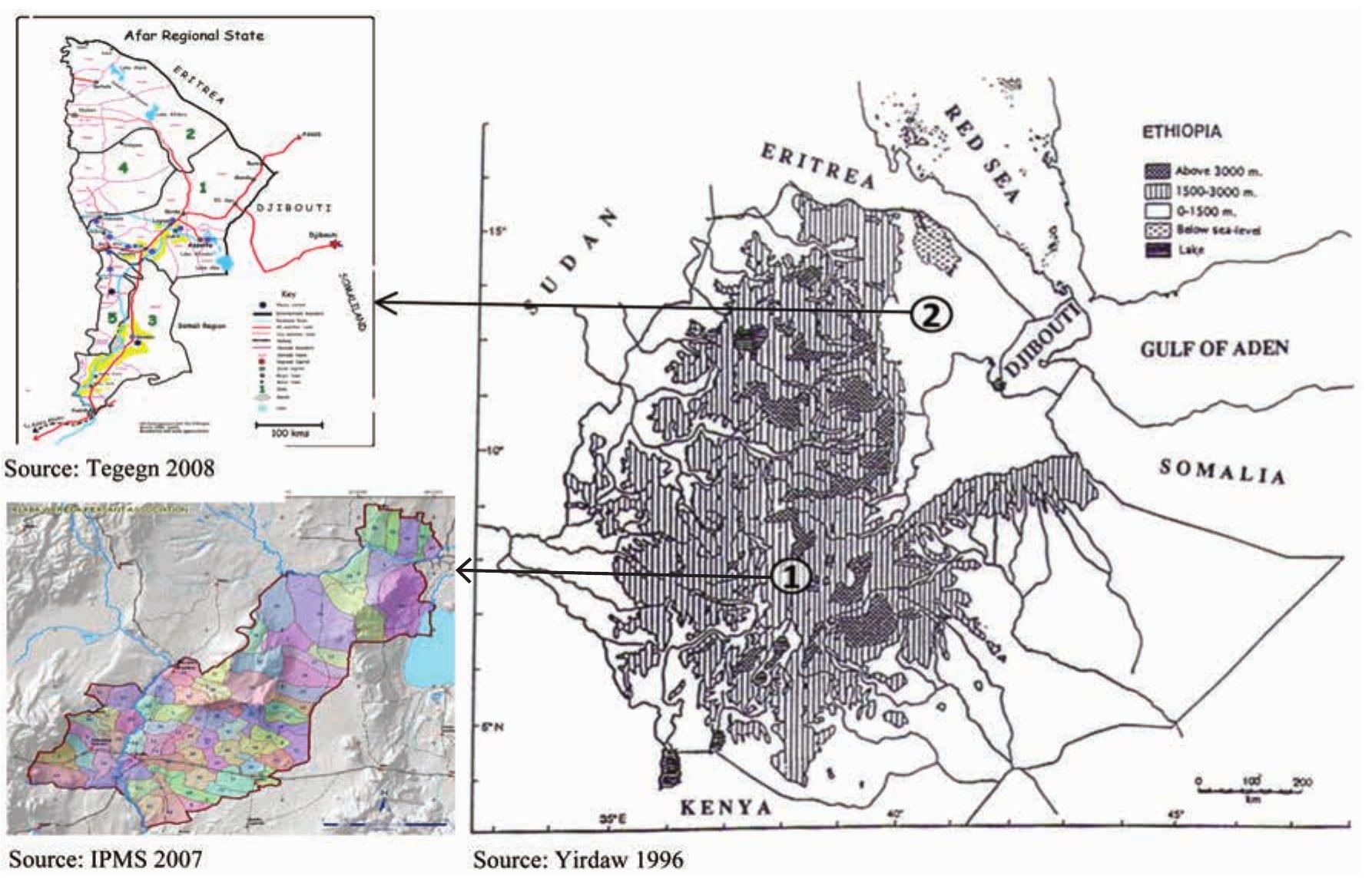 Figure 1 - from Rehabilitation of degraded forest and