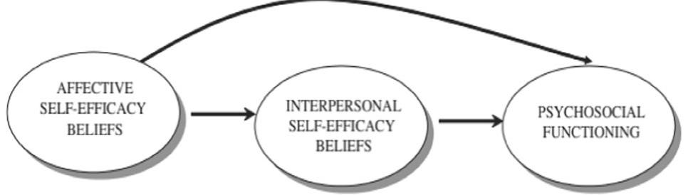 (PDF) Shyness and Subjective Well-being in Chinese Adolescents: Self ...
