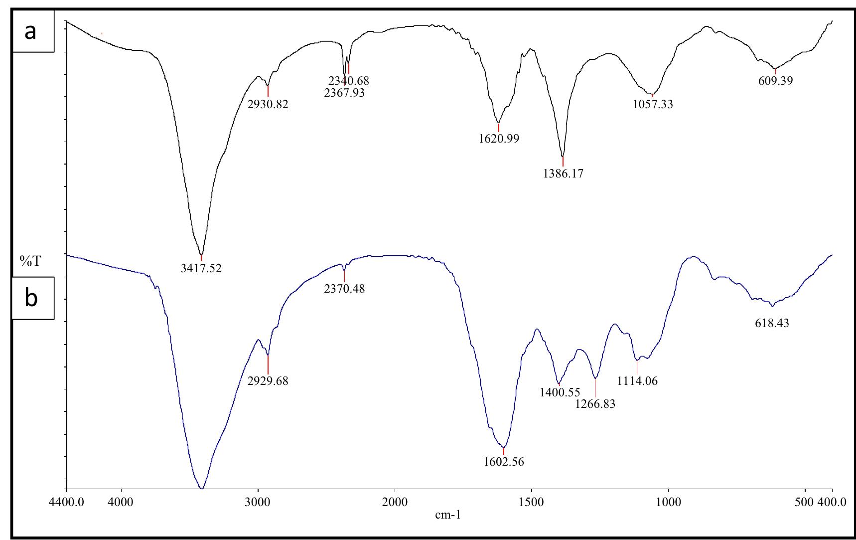 Ftir spectra of (a) the synthesized nps by using an aqueous
