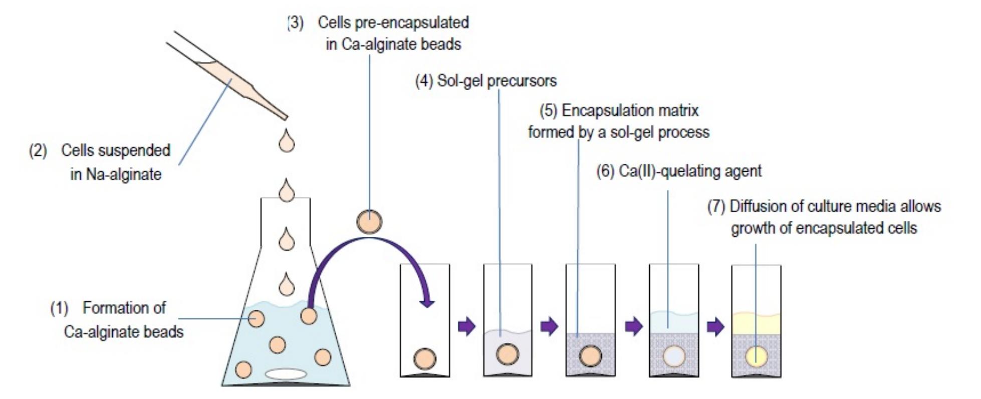 Schematic representation of the two-step synthesis strategy.