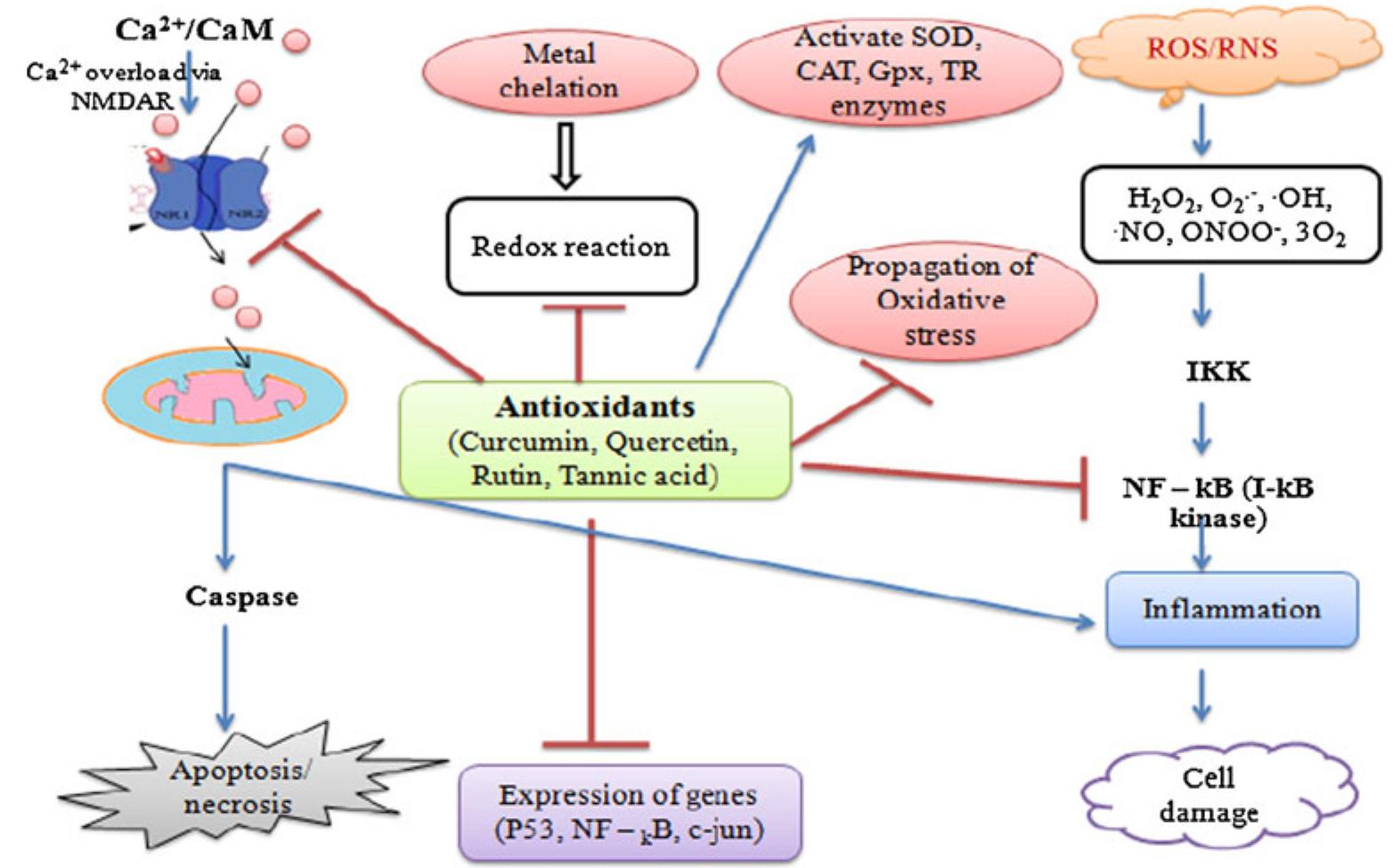 Gpx O2 (PDF) Environmental factors and unhealthy lifestyle influence oxidative ...
