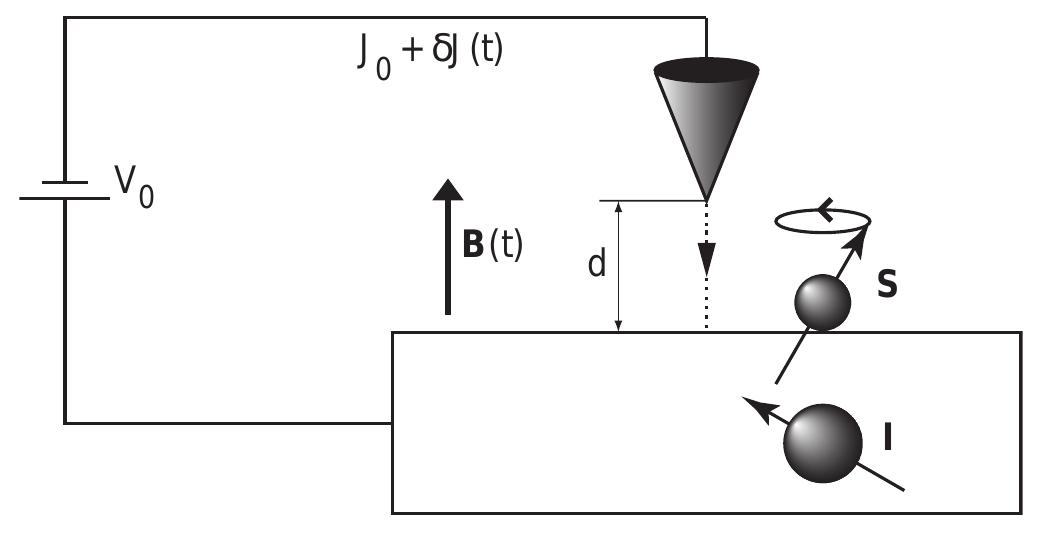 (PDF) Nuclear Spin Noise and STM Noise Spectroscopy