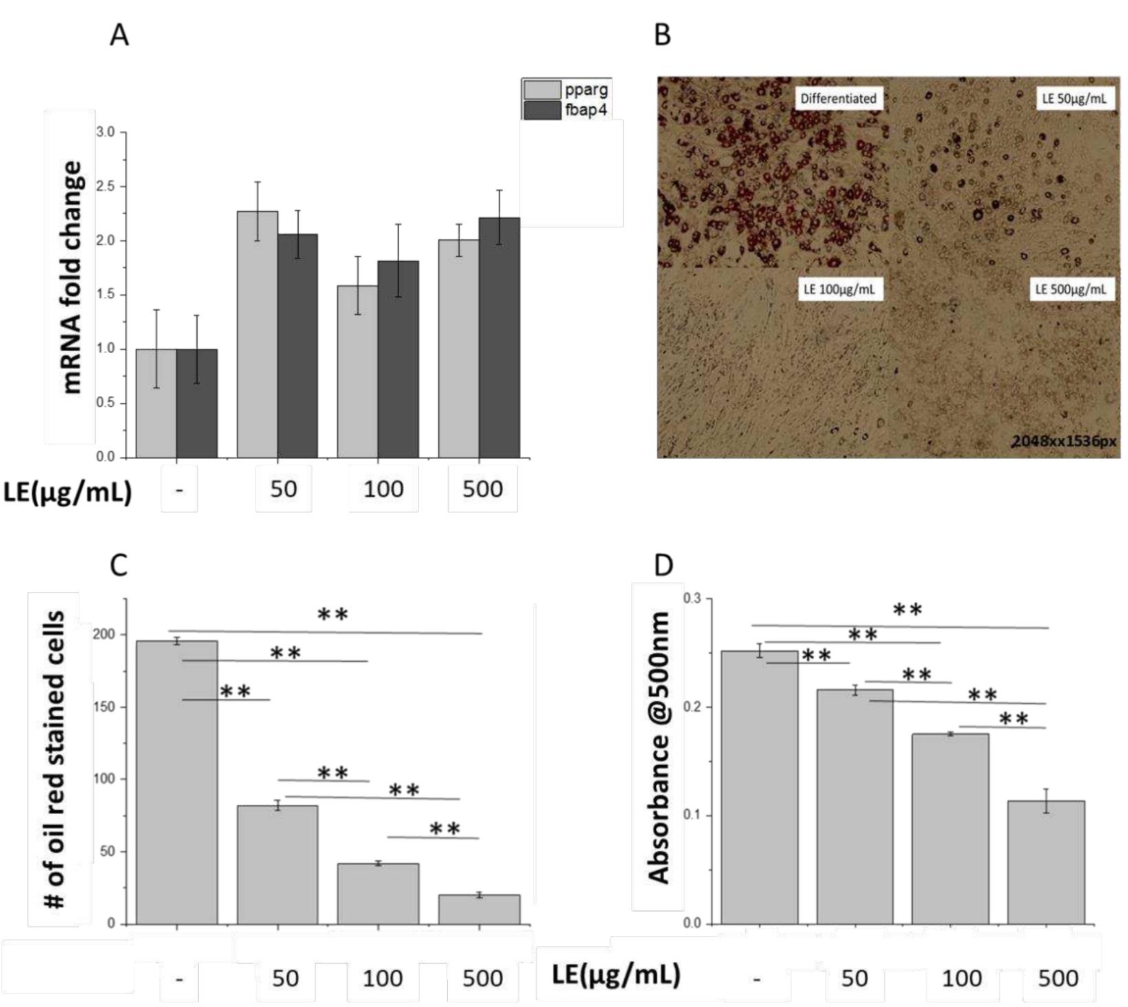 (PDF) Lemon Extract Reduces Angiotensin Converting Enzyme (ACE ...