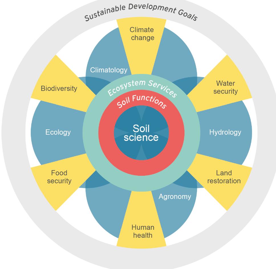 (PDF) The significance of soils and soil science towards realization of ...