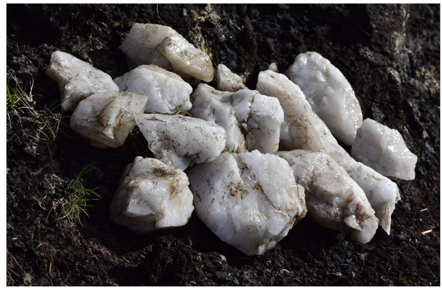 Paricular Pit (PDF) Neolithic Engagements with the Dead: Mortuary Processing on ...