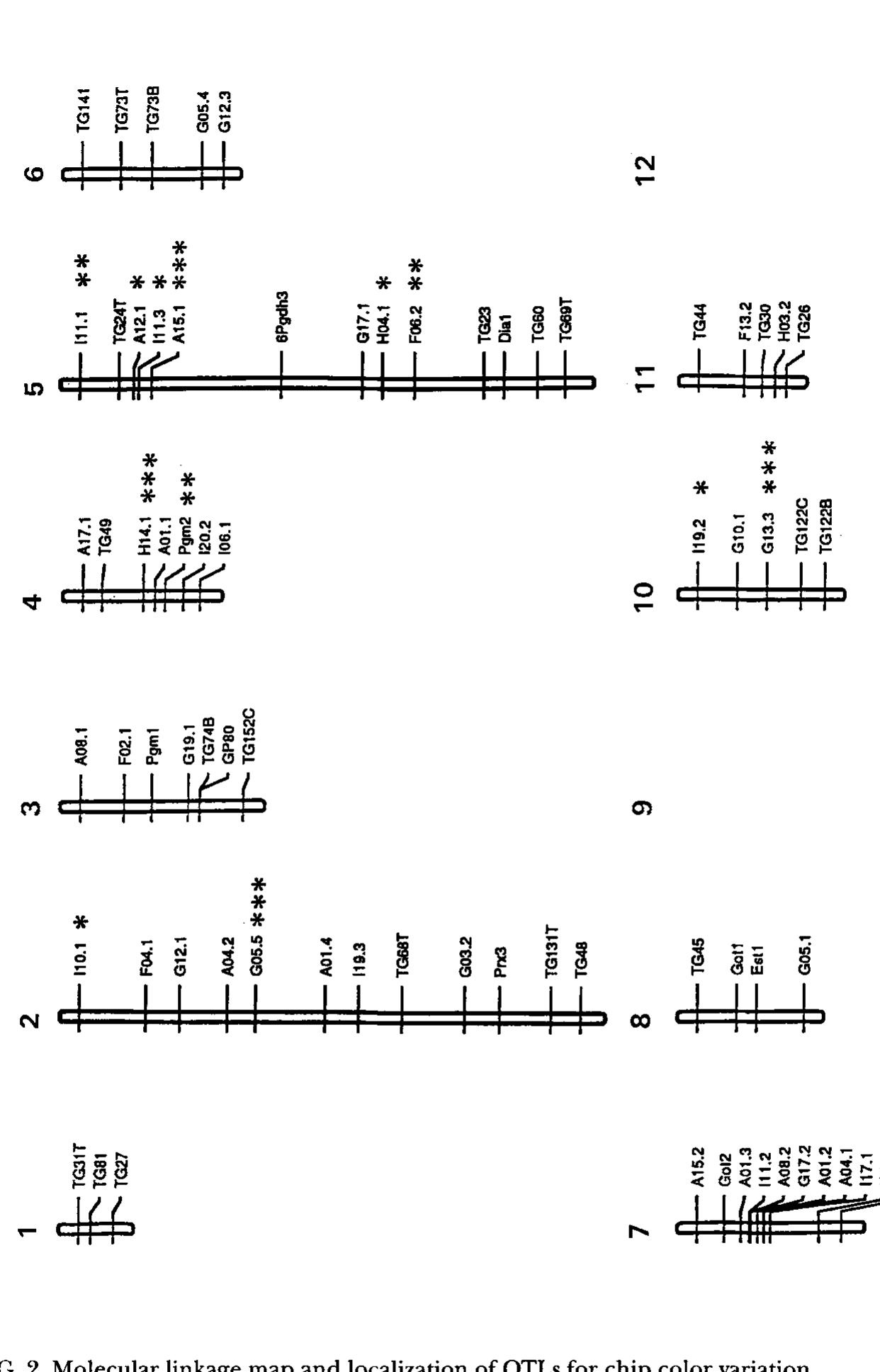 (PDF) Identification of genetic factors influencing chip color in ...