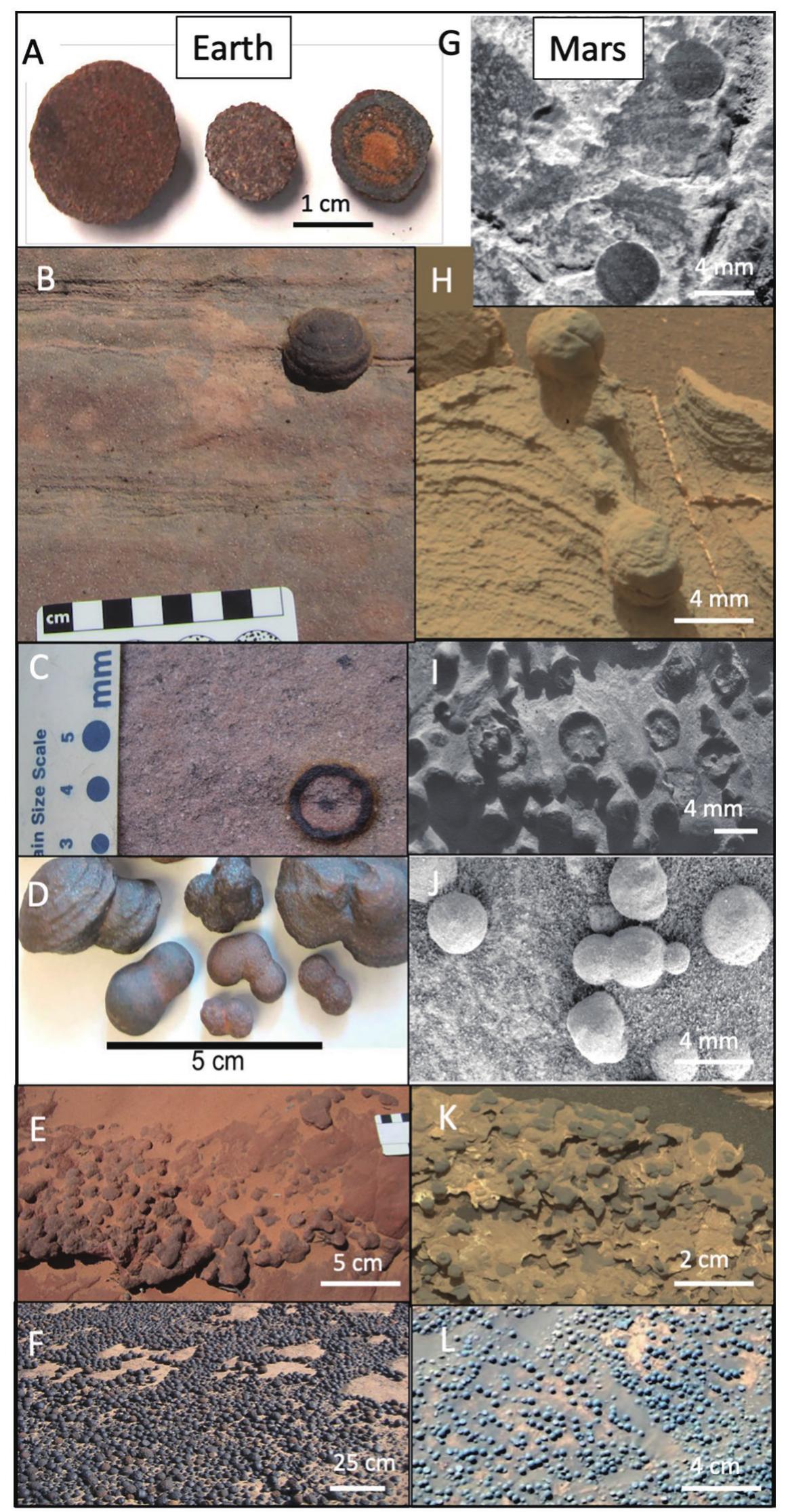 (PDF) A Perspective on Concretions: Deciphering Diagenesis from Earth ...