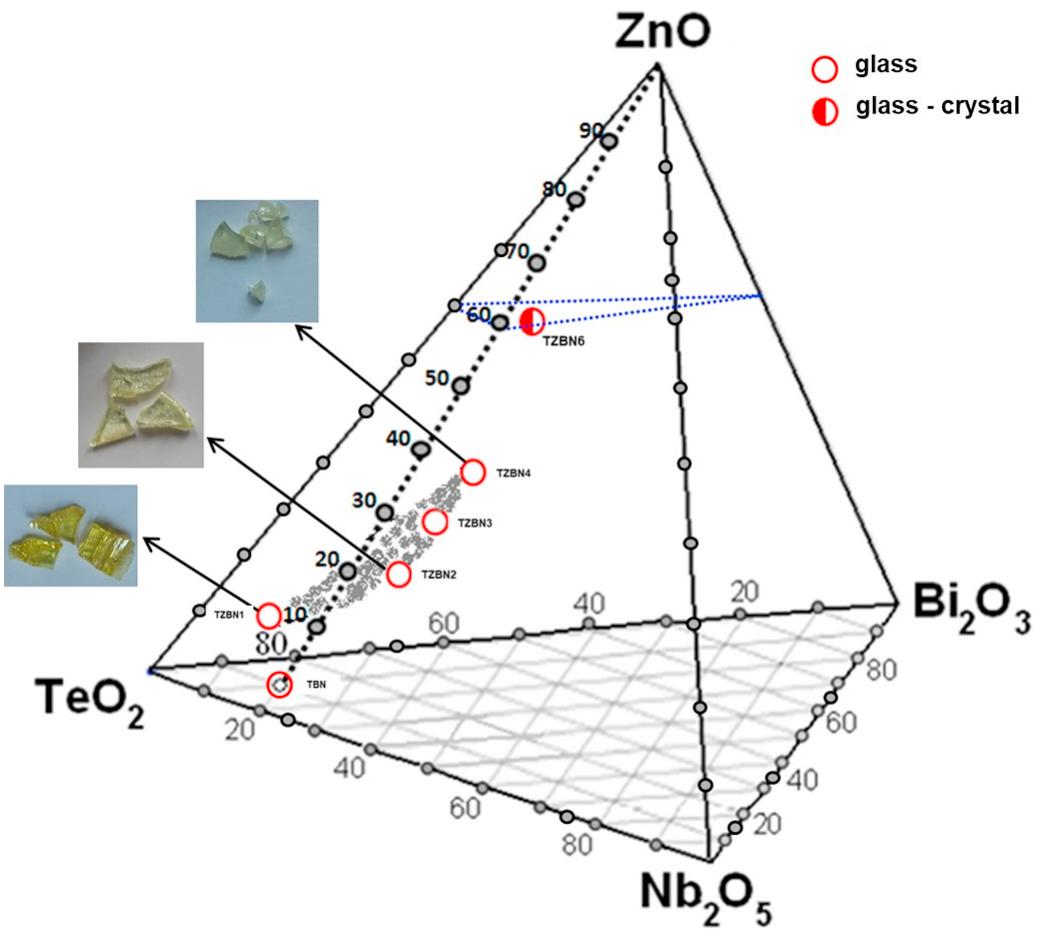 Teo2 Network Glass Structure (PDF) Glass formation and structural studies of glasses in the TeO2 ...
