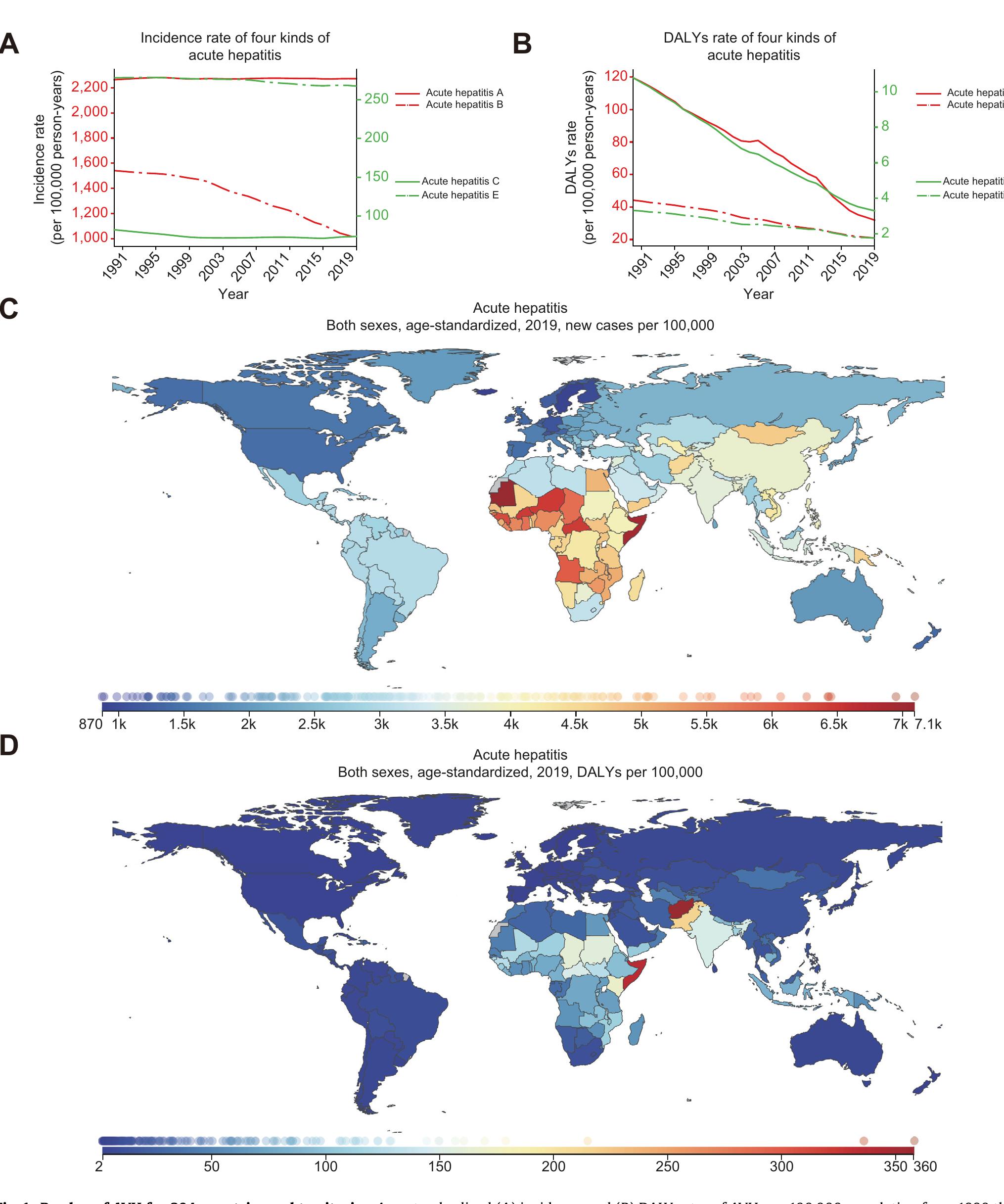 Figure 2 - Global burden of acute viral hepatitis and its