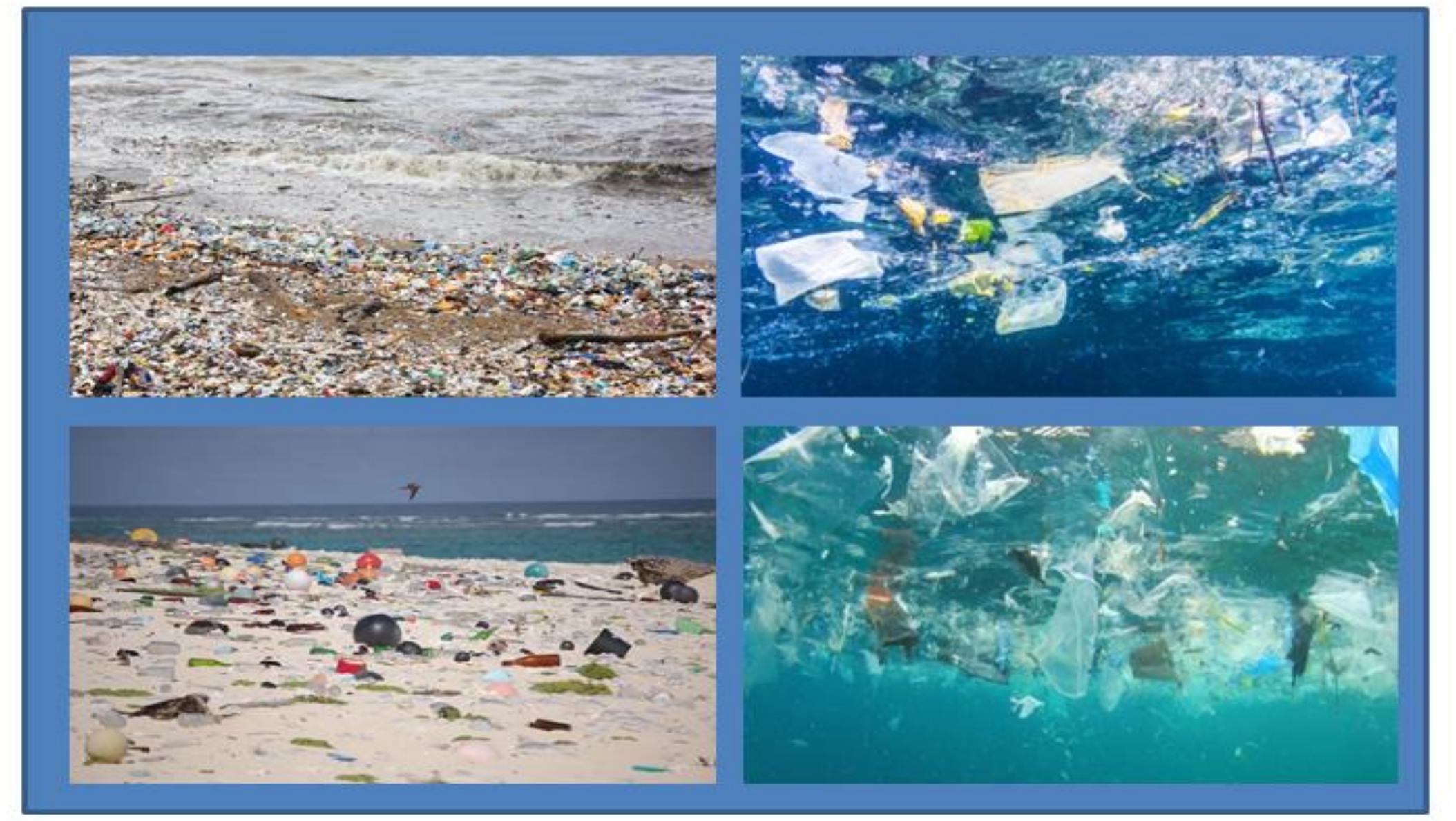 (PDF) The Sea of Plastics: A Review on Microplastic Pollution in Marine ...