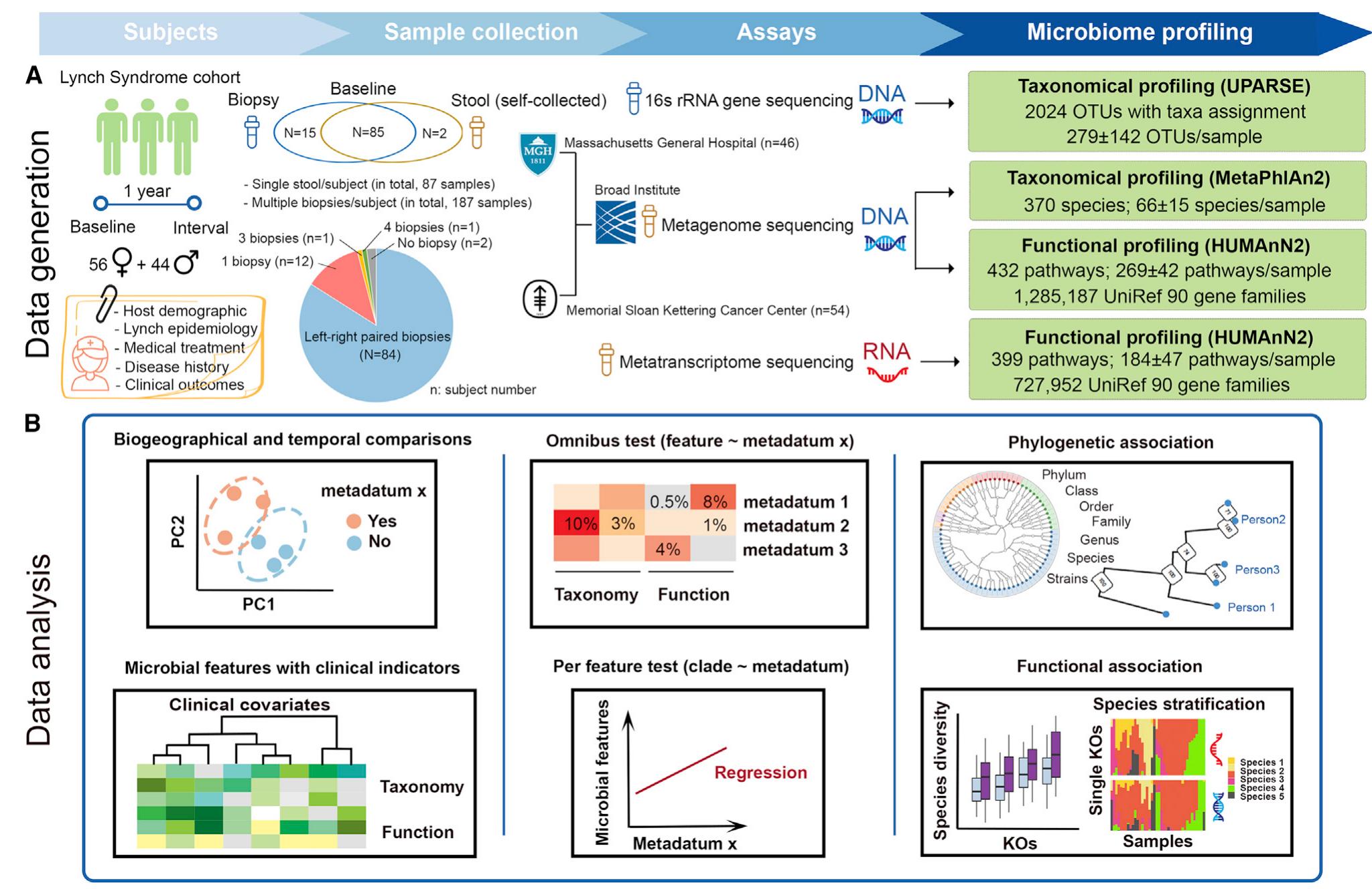 (PDF) Structure of the Mucosal and Stool Microbiome in Lynch Syndrome