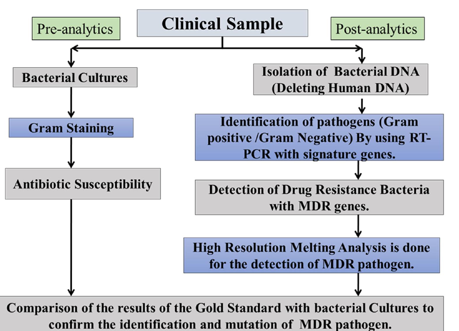 Molecular antimicrobial detecting testing assays. the ideas