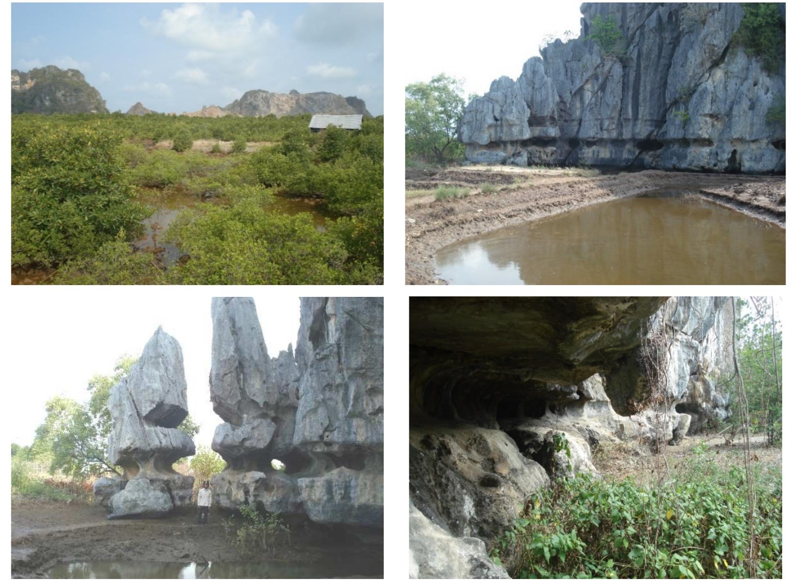(PDF) Geomorphological characteristics of the Southwest waters of Vietnam