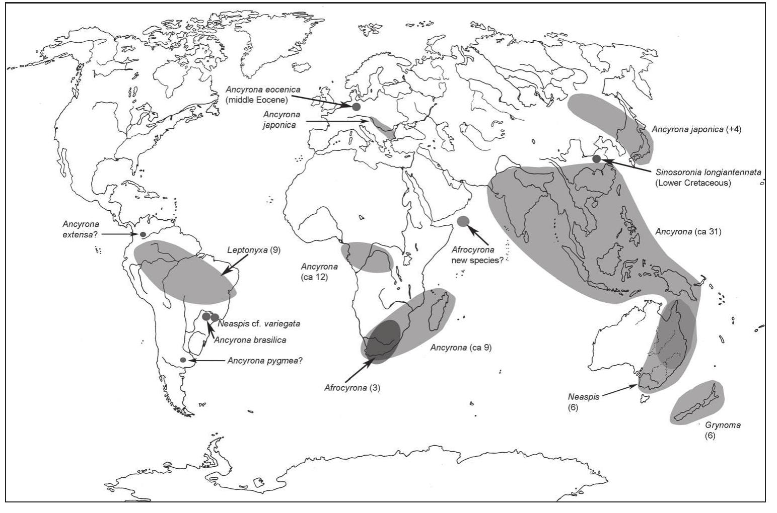 Torma Map (PDF) Trogossitidae: A review of the beetle family, with a catalogue ...