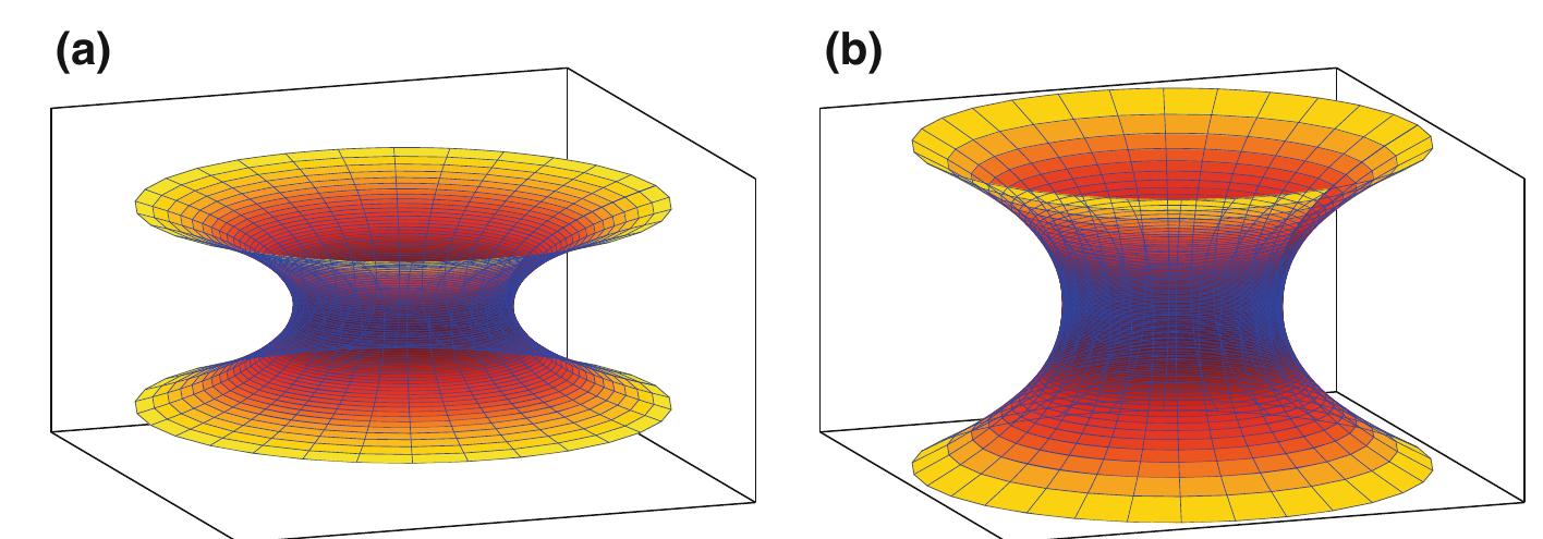 THE FINALS -diana2024-/フォトブック PDF) Wormholes, Warp Drives and Energy Conditions
