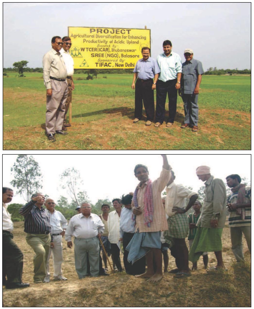 (PDF) Acid soils management for higher crop productivity – Integrated ...