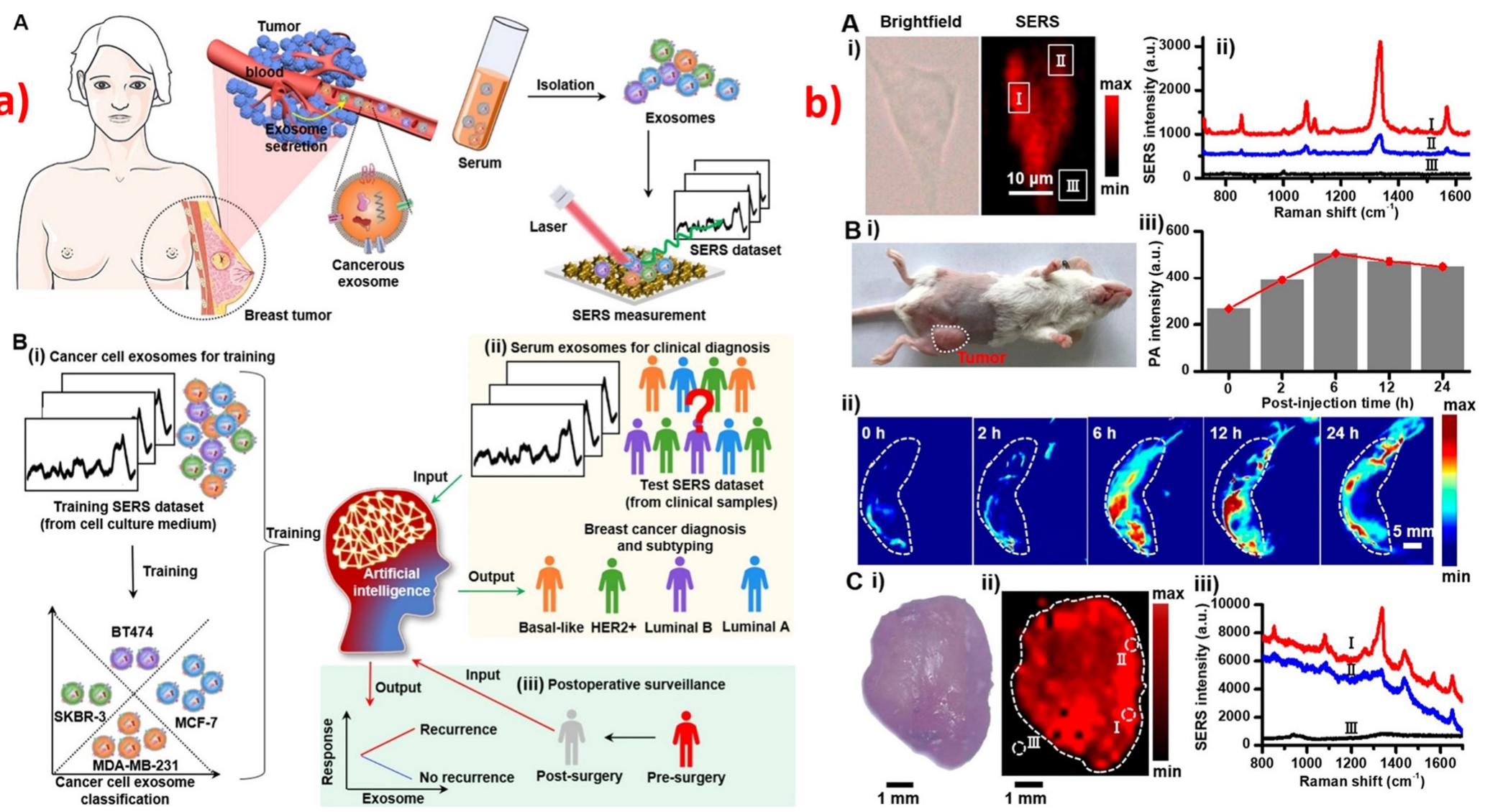 PDF) Recent Trends in SERS-Based Plasmonic Sensors for Disease