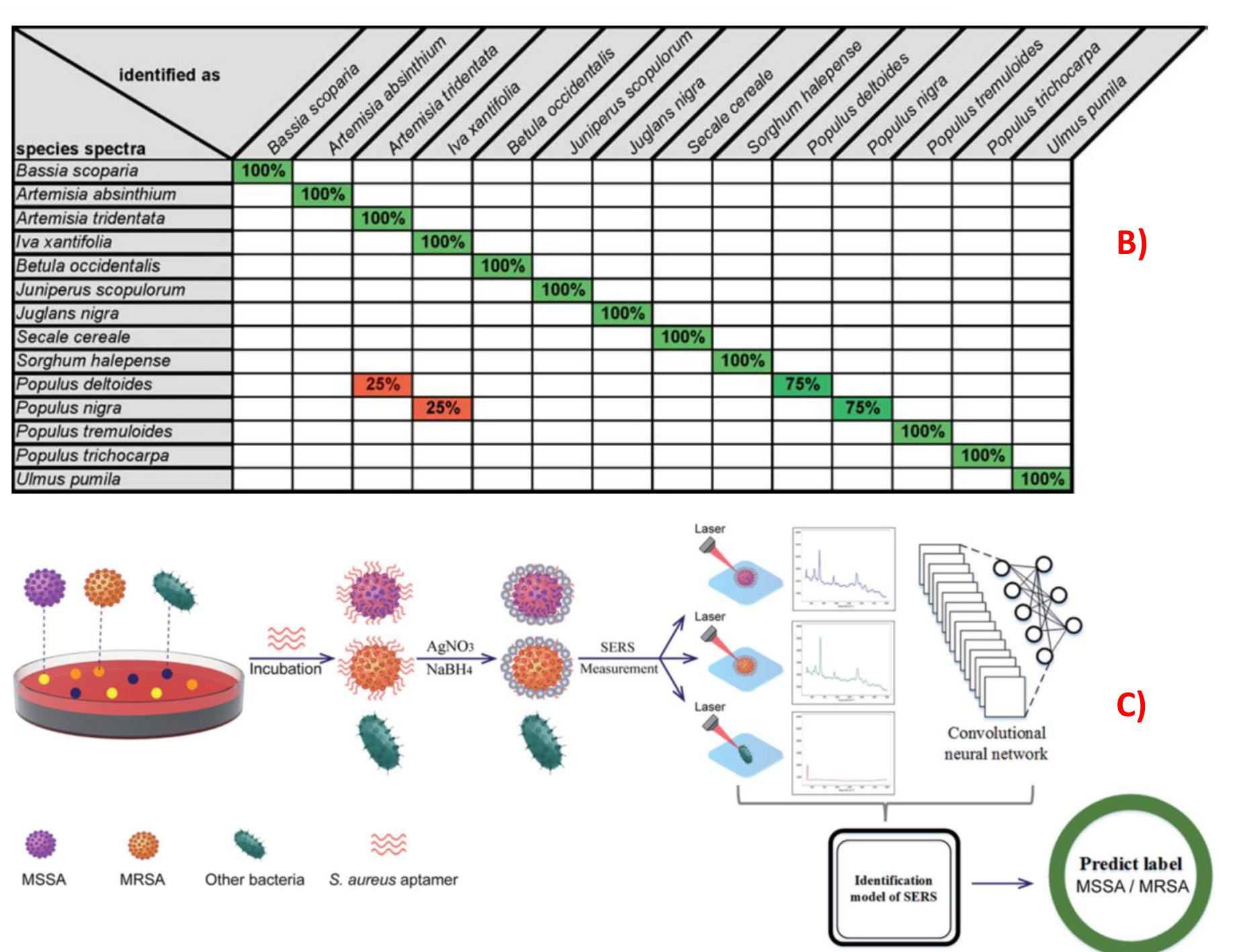 PDF) Recent Trends in SERS-Based Plasmonic Sensors for Disease