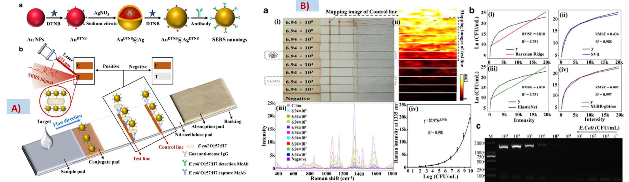 PDF) Recent Trends in SERS-Based Plasmonic Sensors for Disease