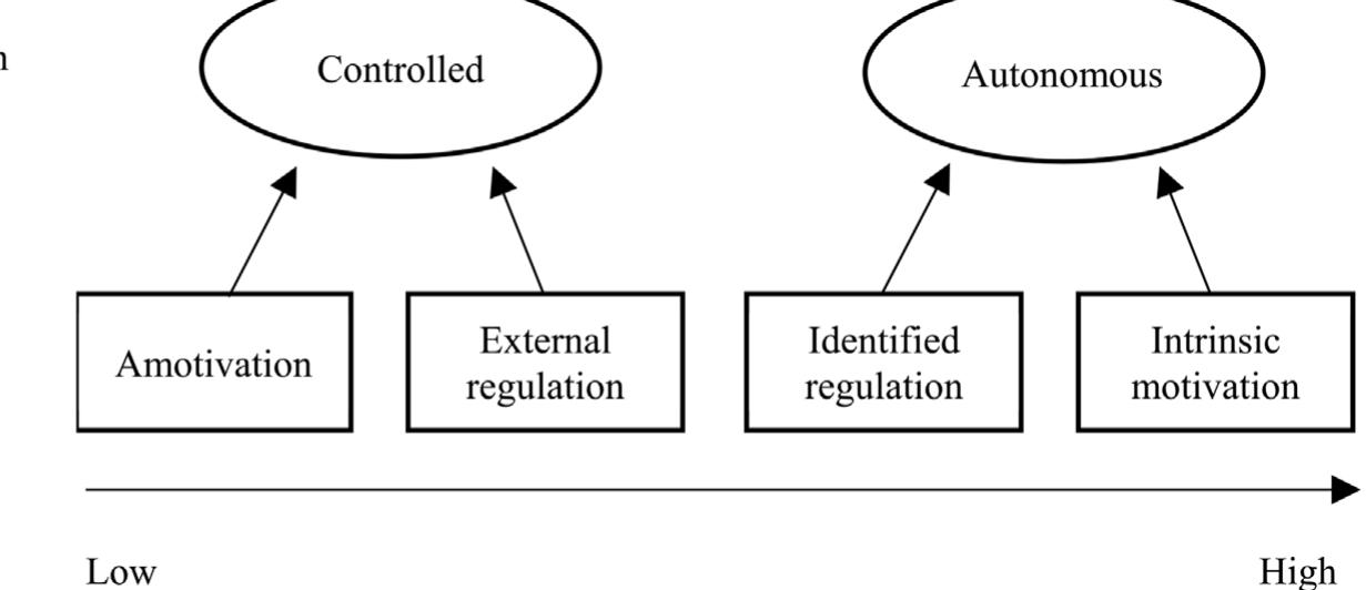 The figure depicts the internalization process as specified