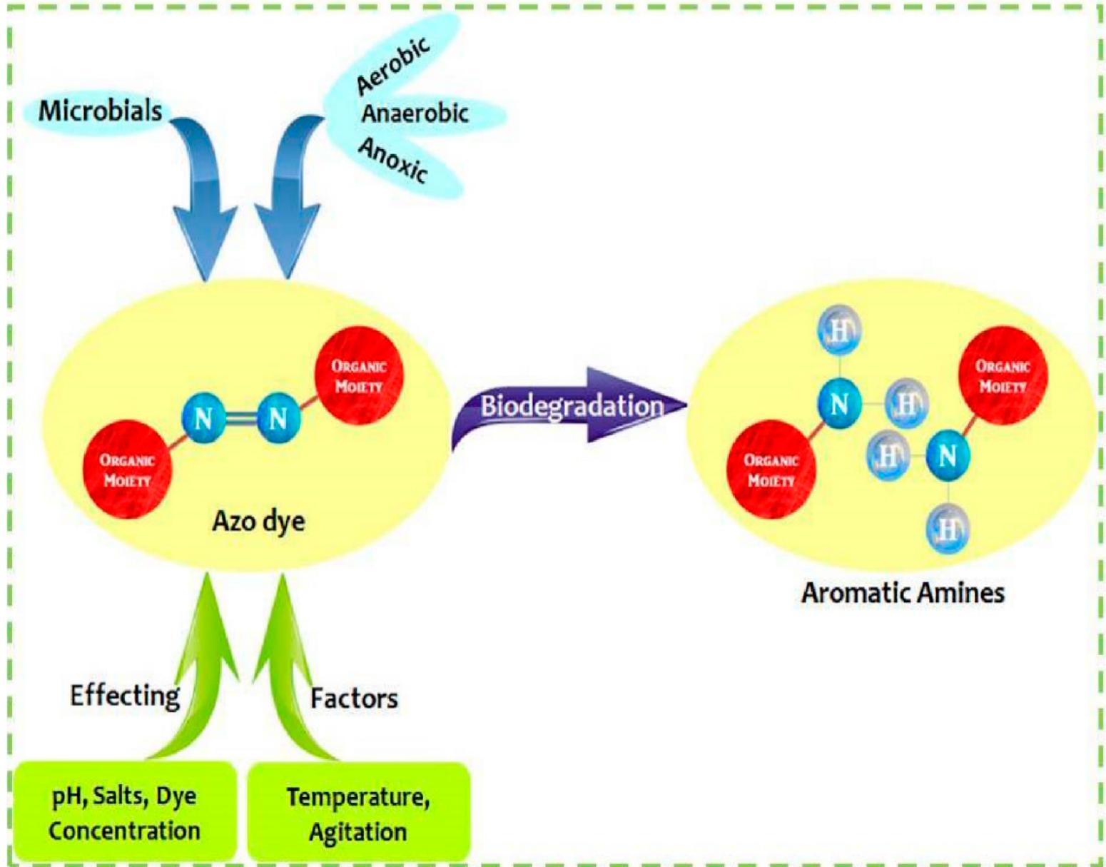 (PDF) A Recent and Systemic Approach Towards Microbial Biodegradation ...
