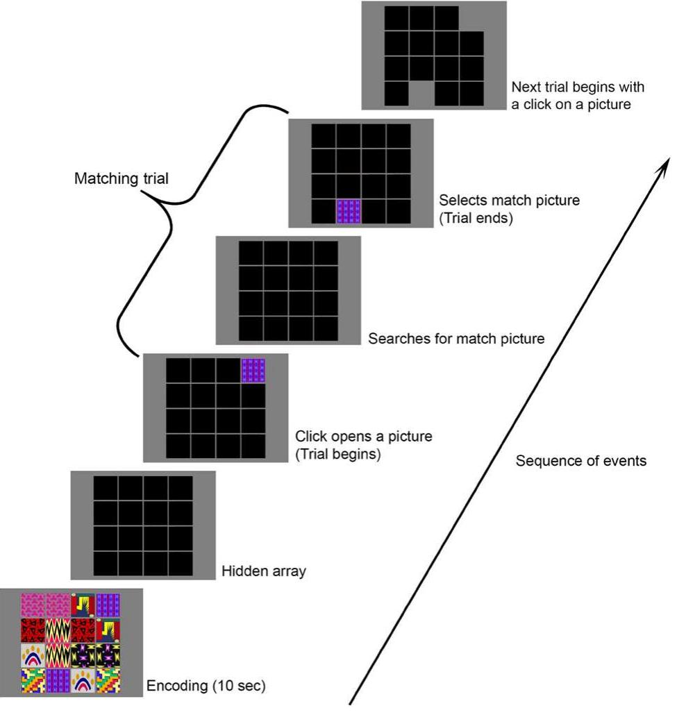 (PDF) Brain Networks Communicate Through Theta Oscillations to Encode ...