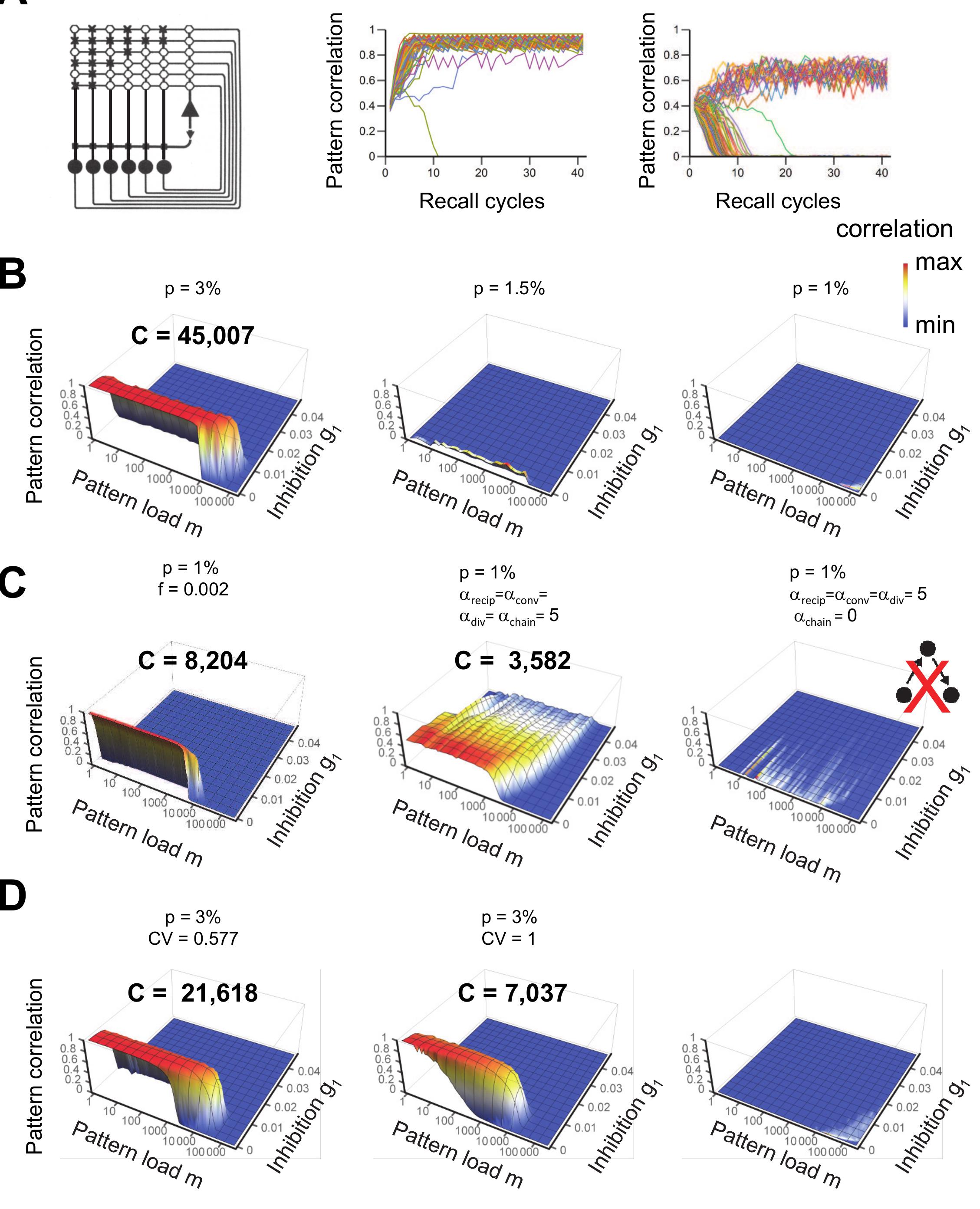 Figure 5 - from Synaptic mechanisms of pattern completion in