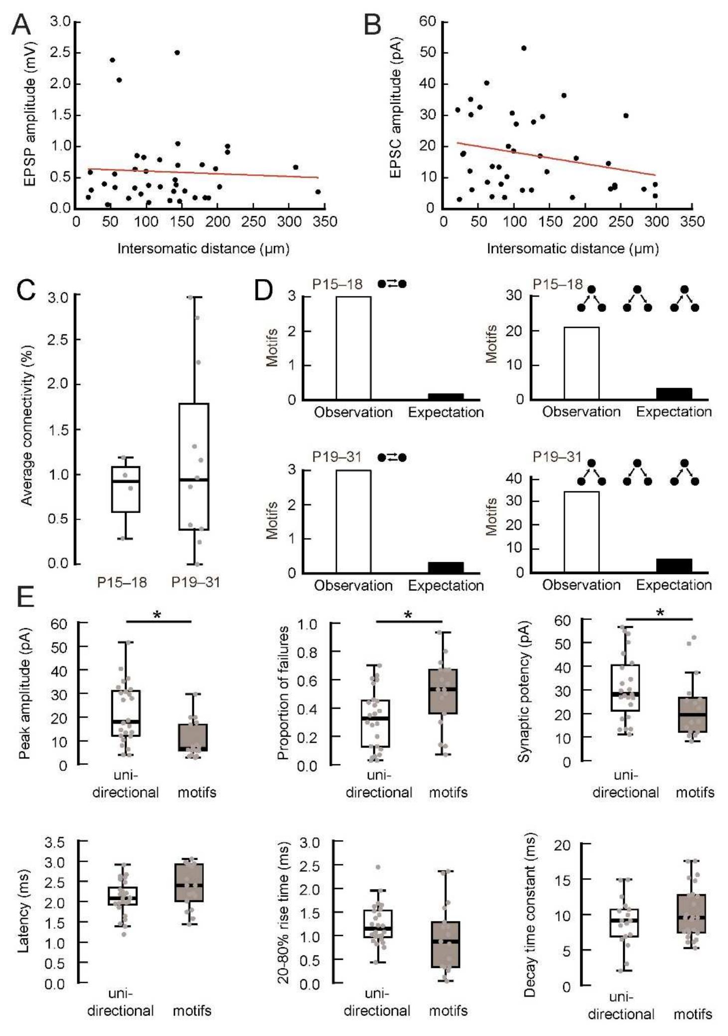(PDF) Synaptic mechanisms of pattern completion in the hippocampal CA3 ...