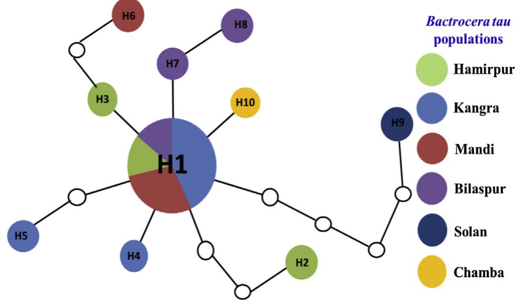 (PDF) Population genetic structure of the pumpkin fruit fly, Bactrocera ...