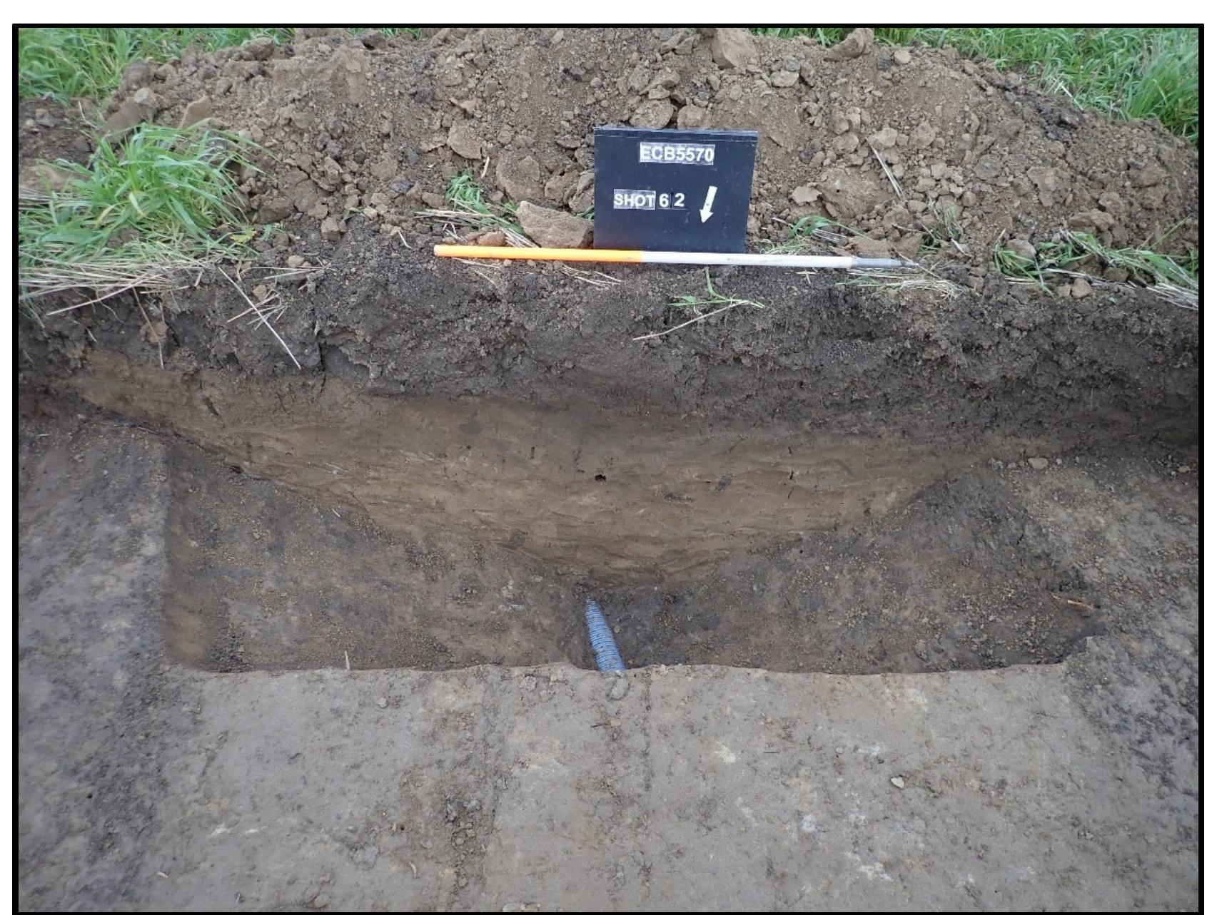 Plate 7: trench 9, ditch [902] with blue plastic pipe at
