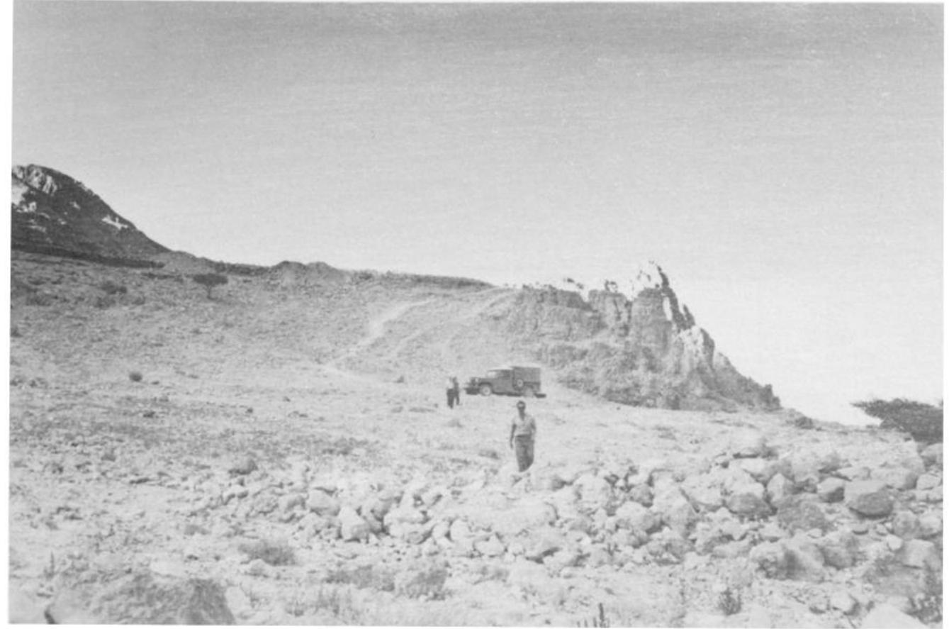 Fig. 11. The rock-terrace on which the temple was constructed, viewed from the spring of Ein Gedi. 