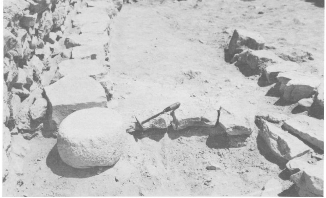 Fig. 15. The round base in the altar of the sanctuary.  room for the use of the priests.  The sanctuary (Fig. 14) forms the largest and the most important build- ing in the enclosure. It is a rectangular structure, 19.70 meters long and 5.5 meters wide (about 67 by 18 feet). Its width was probably limited by the ability of the architects to roof over the sanctuary without using pillars. A stone bench or step, mainly composed of one row of big stones, with small stones and clay filling the gaps, about eight inches high and a foot or more wide, was constructed on the outside around the walls of the sanctuary. Like the lateral chamber, the sanctuary is of the broad-house type, and its entrance was built in the center of the long wall, with the bench mentioned 