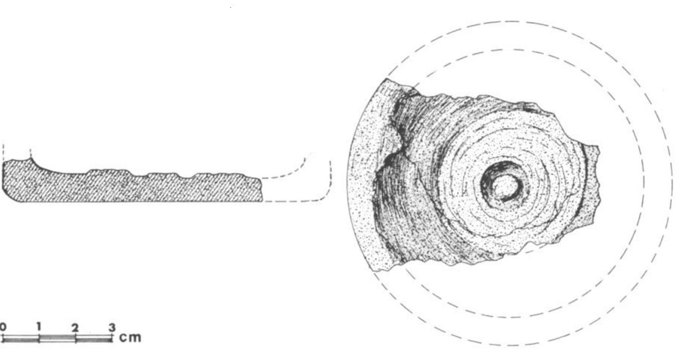 bottom which shows conspicuous marks of drilling, and the lower end of « section of the side. It is the earliest alabaster vessel so far found in Pales. tine. It seems to have been imported from Egypt, where cylindrical ala- baster vesse!s of that kind were manufactured. A few such vessels are re ported from the Pre-dynastic period,?® and with the establishment of the first dynasty they became very common.” Furthermore, our fragment was checked by Dr. Z. Goffer from Tel Aviv University who found it to be cal. cium carbonate like the Egyptian alabaster vessels. Our fragment is but an: other link in the evident cultural connections which the Ghassulians main- tained with Egypt. Rothenberg’s recent discovery of hundreds of Chal: colithic settlements in the southern part of the Sinai peninsula?’ may per  Fig. 19. The base of the alabaster vessel found in the temple. 