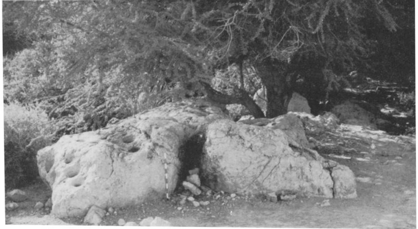 Fig. 20. Rock with seven “‘cup-marks’’ cut on its surface near the spring of Ein Gedi.  Dlg. 2VU. MOCK with seven cCup-Ma@rks CUT ON Its surrace Neal the Sprit, UR LAM NEES  as a result of destruction by an enemy. No traces of fire, or any other signs of deliberate destruction could be found. On the other hand, in parallel tc other Ghassulian sites, everything seems to point to the fact that the struc tures slowly crumbled owing to desertion and the effect of weather, Fur thermore, the temple was found empty with all its cultic equipment missing Hardly any objects, with the exception of the alabaster fragment, were found in the enclosure. The absence of such equipment becomes even more conspicuous when we remember the relative richness of the finds in the Ghassulian sites. One has to conclude that when the temple was abandonec its equipnient was carried away by the priests. Unforunately, they wer 