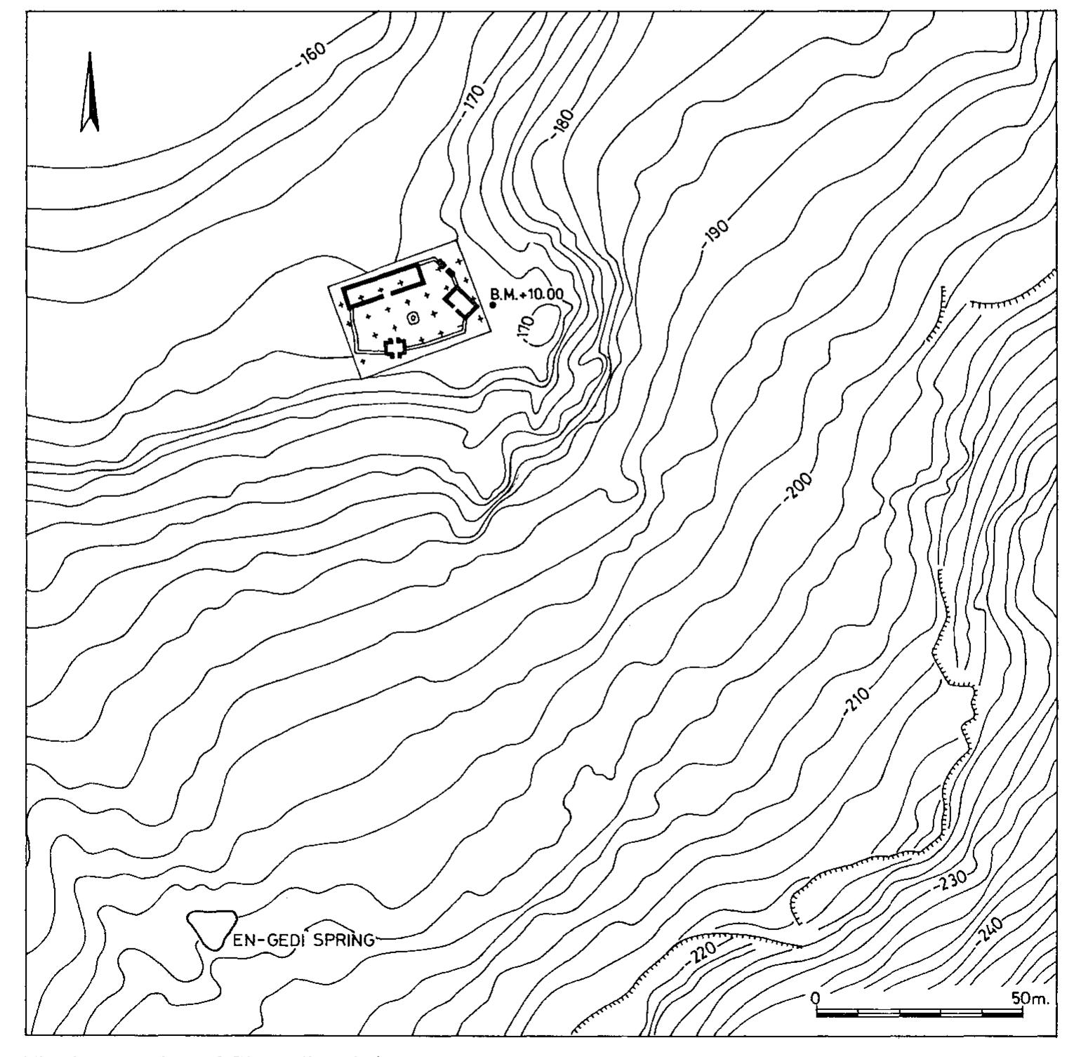 parallel to the shore of the Dead Sea, marks the eastern edge of the Judean Desert plateau. The continuous line of scarp is occasionally interrupted by deep gorges or canyons. Behind En-gedi it joins the gorge of Nahal David at its north and the gorge of Nahal Arugot at its south. Here the cliffs rise to elevation 218 m. above sea-level to Mizpeh En-gedi (Shakarat en-Najjar) on the eastern border of the Judean Desert. An ancient path ascends the cliff from En-gedi to the plateau, forming the main trail leading from the Judean Desert to En-gedi. The En-gedi oasis is located at the foot of the precipice, where its steep walls gradually turn into a fairly moderate slope, which was cultivated in later times when the oasis was settled. The En-gedi spring, lying on the upper stretch of the slope (elevation 200 m. below sea-level), is surrounded by dense vegetation watered by the spring. A second spring, En-Shulamit (Ein Sudeir), somewhat further north, issues its waters into Nahal David. En-Shulamit spring is about 600 m. from En-gedi spring, a walking distance of less than ten minutes.  from En-gedi spring, a walking distance of less than ten minutes. 