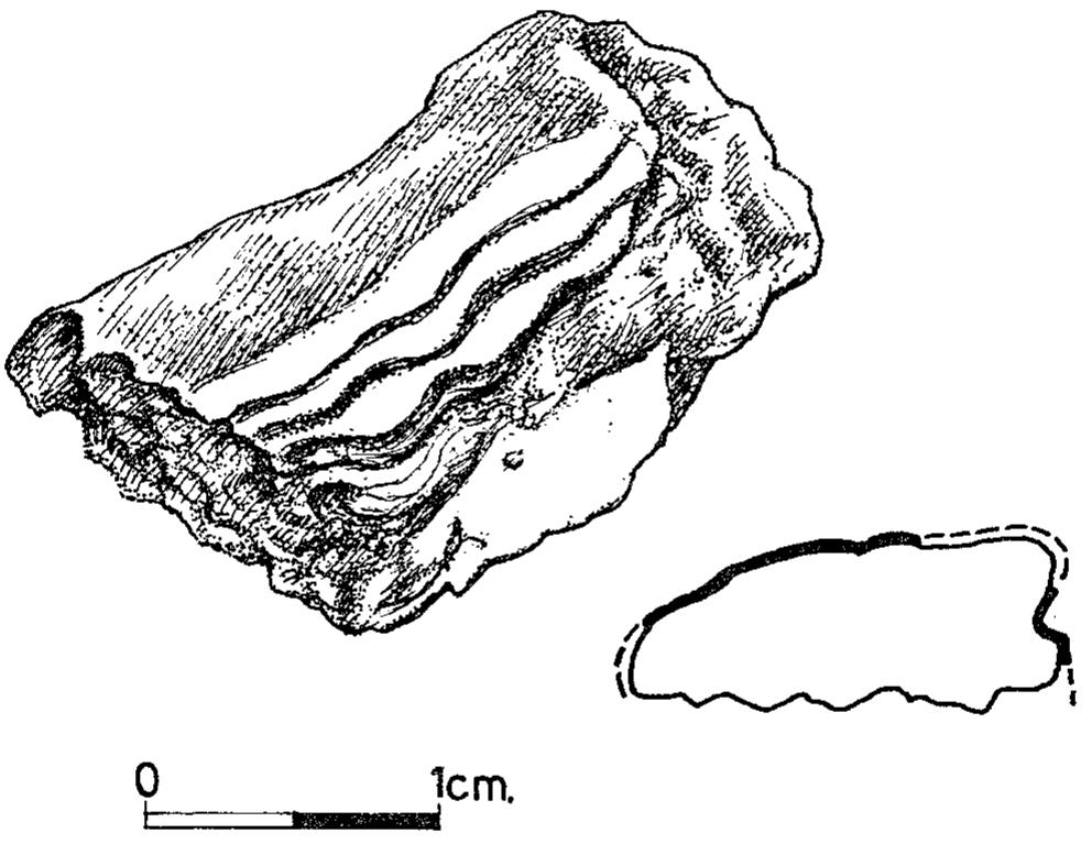sanctuary was far too large to have been illuminated solely by light coming in through the entrance. The Chalcolithic burial ossuaries found in the coastal plain are sufficient evidence that windows were not unknown in this period (cf. Perrot 1961: Figs. 25—26; Pl. V:1—3). What kind of roof we might reconstruct for this shrine is, of course, a matter of speculation. The width of the sanctuary, as noted above, was determined by the ability of the builders to roof it without resorting to supportive columns. We assume that the roof was flat and composed of wooden beams covered with reeds or branches cemented with clay. Significantly, there were some botanical remains on the floor of the sanctuary (Locus 407), apparently fibres of reeds or palm fronds. Since these remains were found above the layer of debris that accumulated on the floor while the shrine was in use and below the debris of the collapsed superstructure, it is possible that they came from the roof. Alternatively, the roof may have been pitched or even rounded, as seen on the burial ossuaries (Perrot 1961: Figs. 21-26). At any rate, the decorations of the  ossuaries indicate, that the roofs of the Ghassulian houses were constructed of beams, reeds and branches (ibid.: 30; Figs. 18; 25—26).  The bench or ledge composed of a single course of stones built against the outer wall of the sanctuary, along the facade of the lateral chamber and the outer face of th postern gate does not seem to have had any constructional purpose; it could have bee: simply an architectural decoration. Very possibly it symbolizes a platform or plinth o the kind typical to contemporary temples in Mesopotamia, such as that supporting th Proto-Dynastic ‘White Temple’ on top of the Anu ziggurat in Uruk-Warka (Néldeke anc Heinrich 1937:29 ff.; Pls. 19;21—22: Sections C-D, J—K). This platform, or socle buil of four courses of brick, projects 60—100 cm. on all sides of the temple. One of th doorways of the temple, possibly the central one, is located in the centre of the lon; wall, and a step leads from the ziggurat to the socle at the point where it crosses thi  