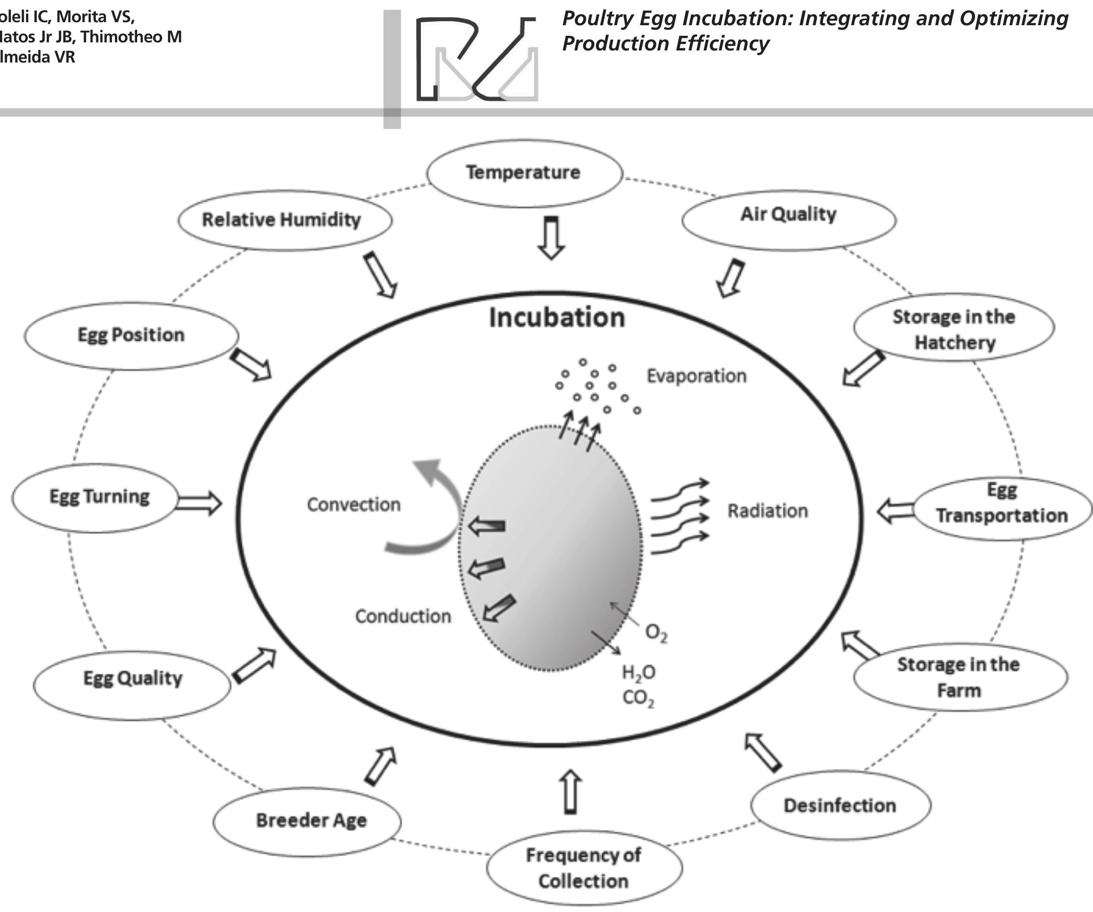 (PDF) Poultry Egg Incubation: Integrating and Optimizing Production ...