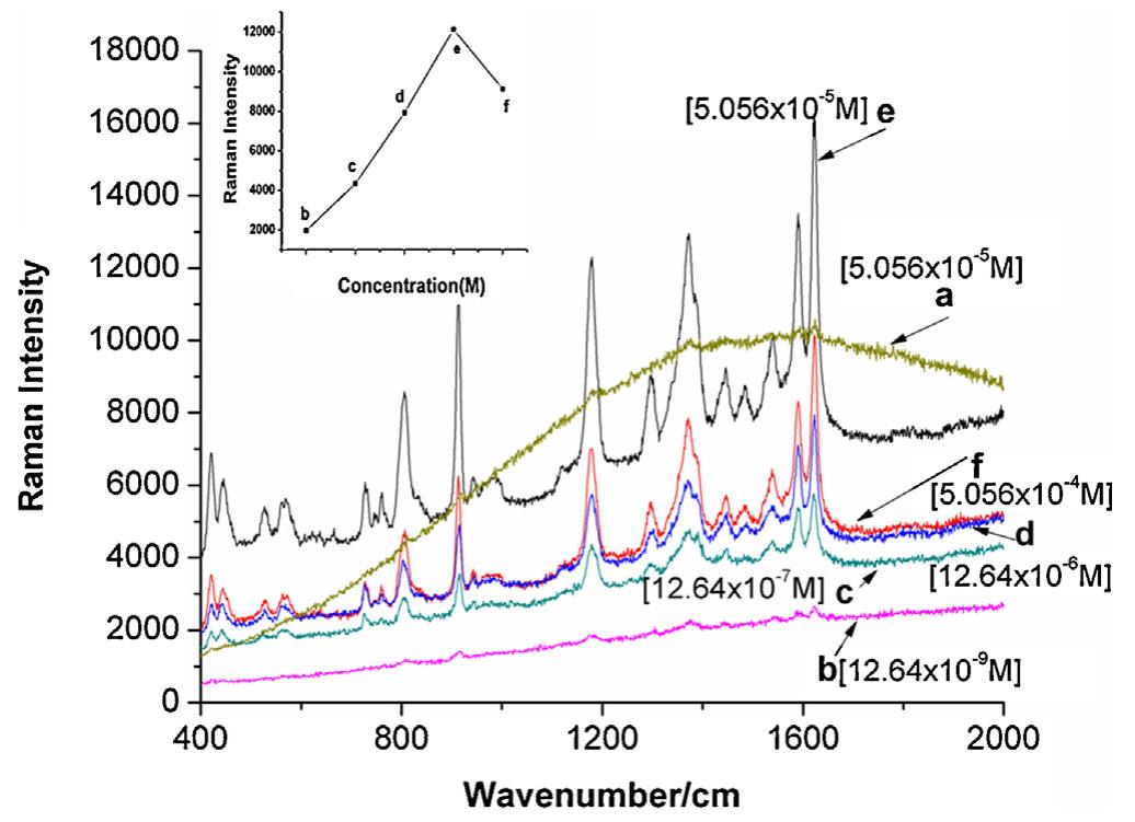Effect of concentration on sers spectra of cv at different