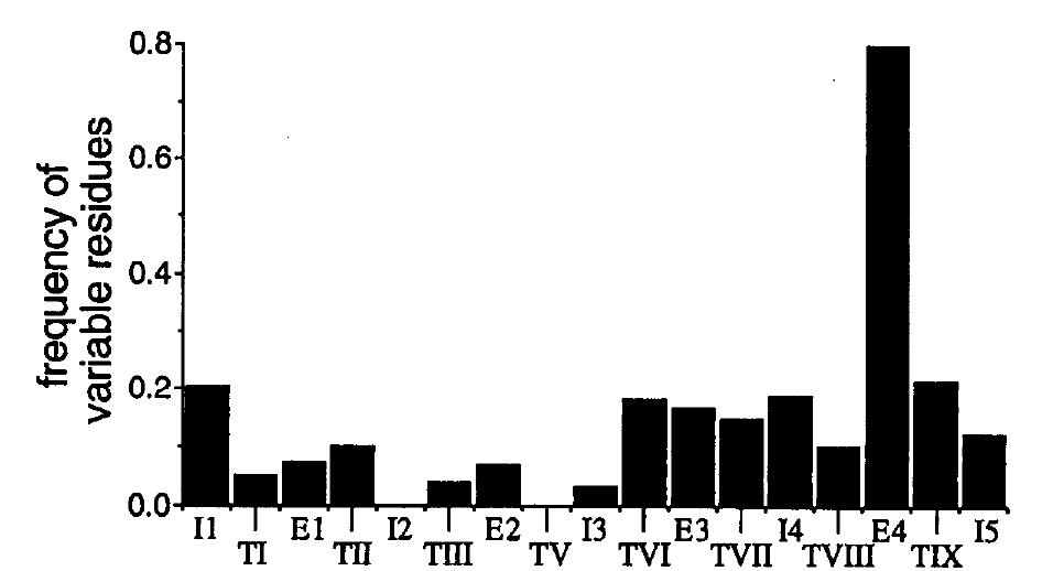 (PDF) Molecular divergence and phylogeny: rates and patterns of ...
