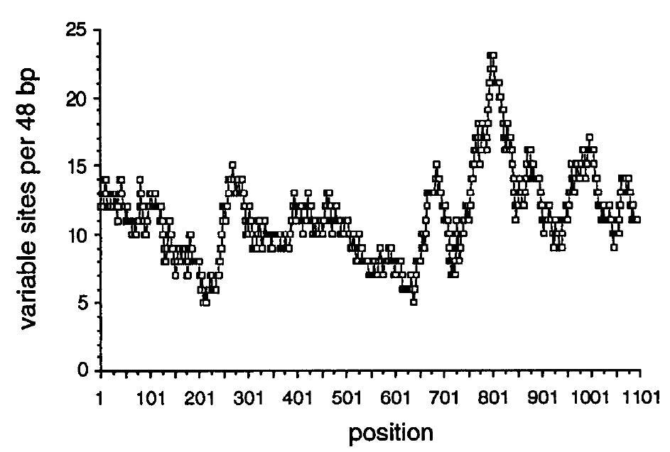 (PDF) Molecular divergence and phylogeny: rates and patterns of ...
