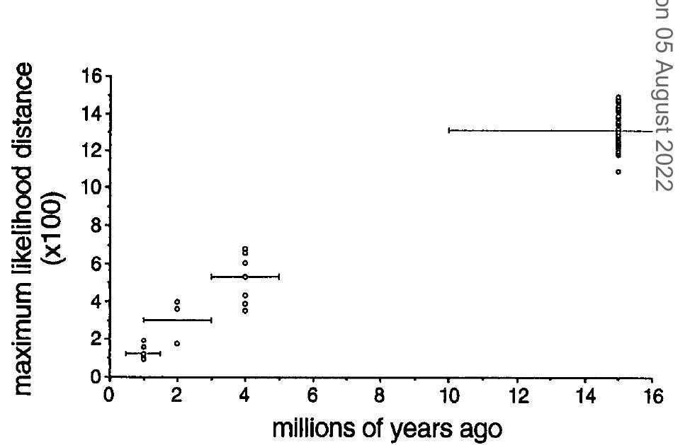 (PDF) Molecular divergence and phylogeny: rates and patterns of ...