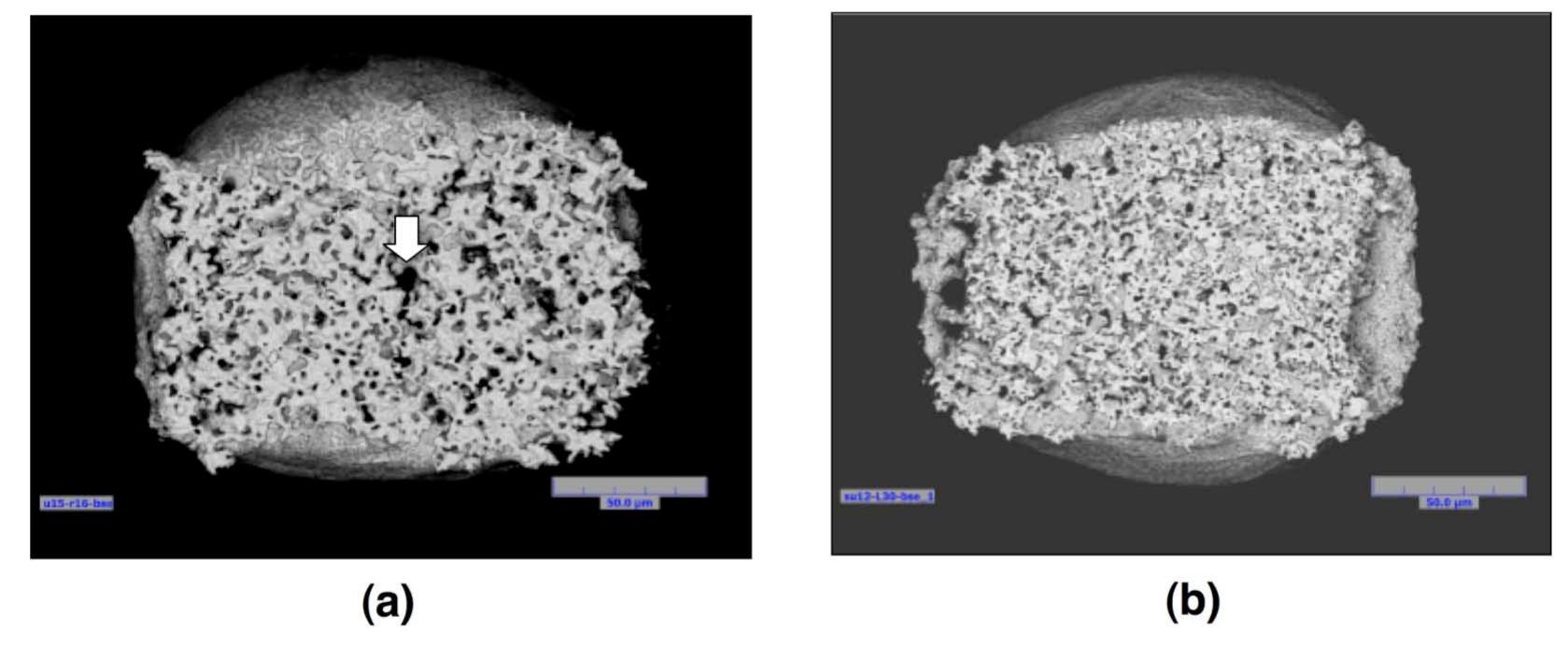 Ltcc Sem Figure 51 - from An analysis of the pull strength behaviors