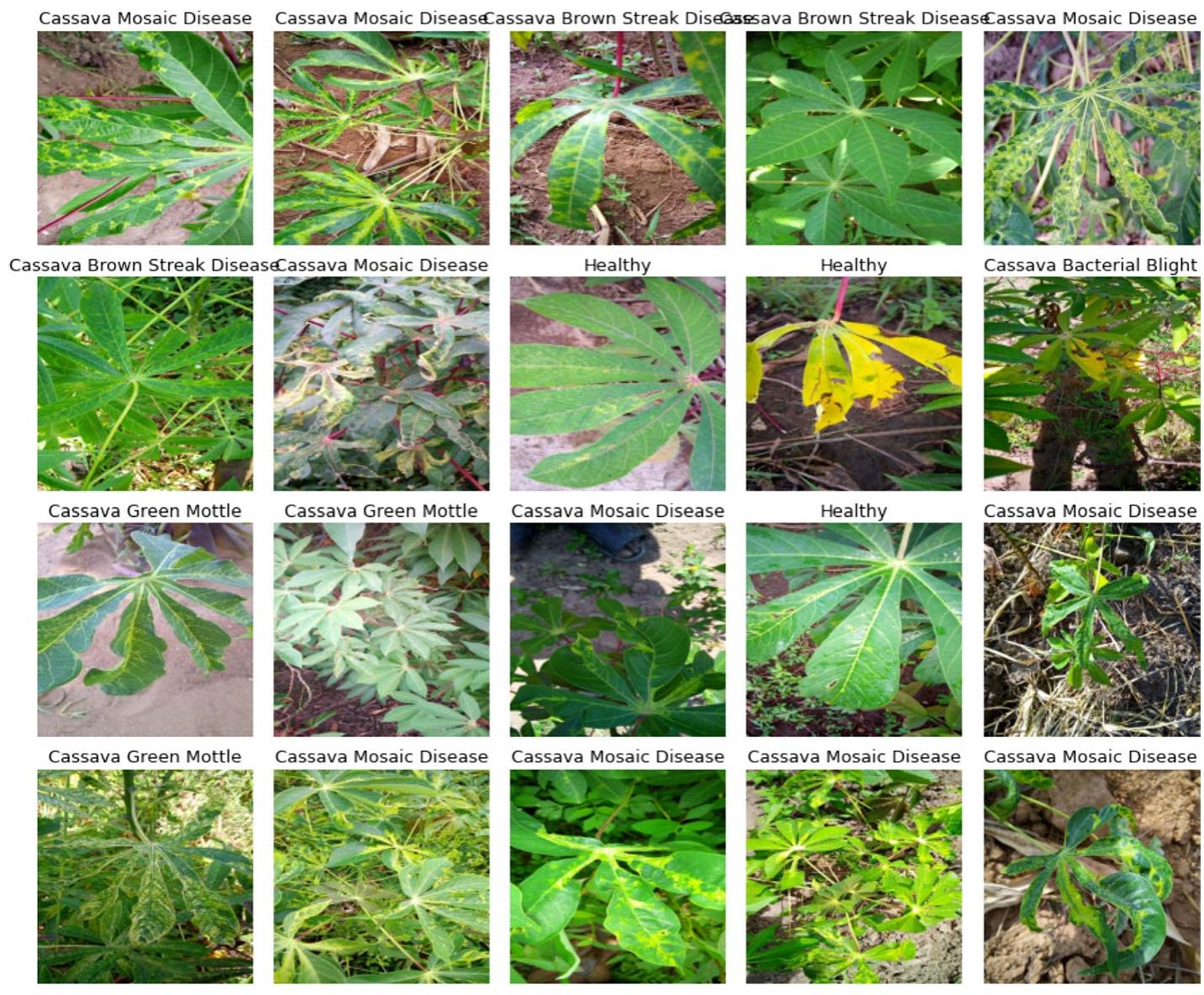 (PDF) Plant leaf disease classification using Wide Residual Networks
